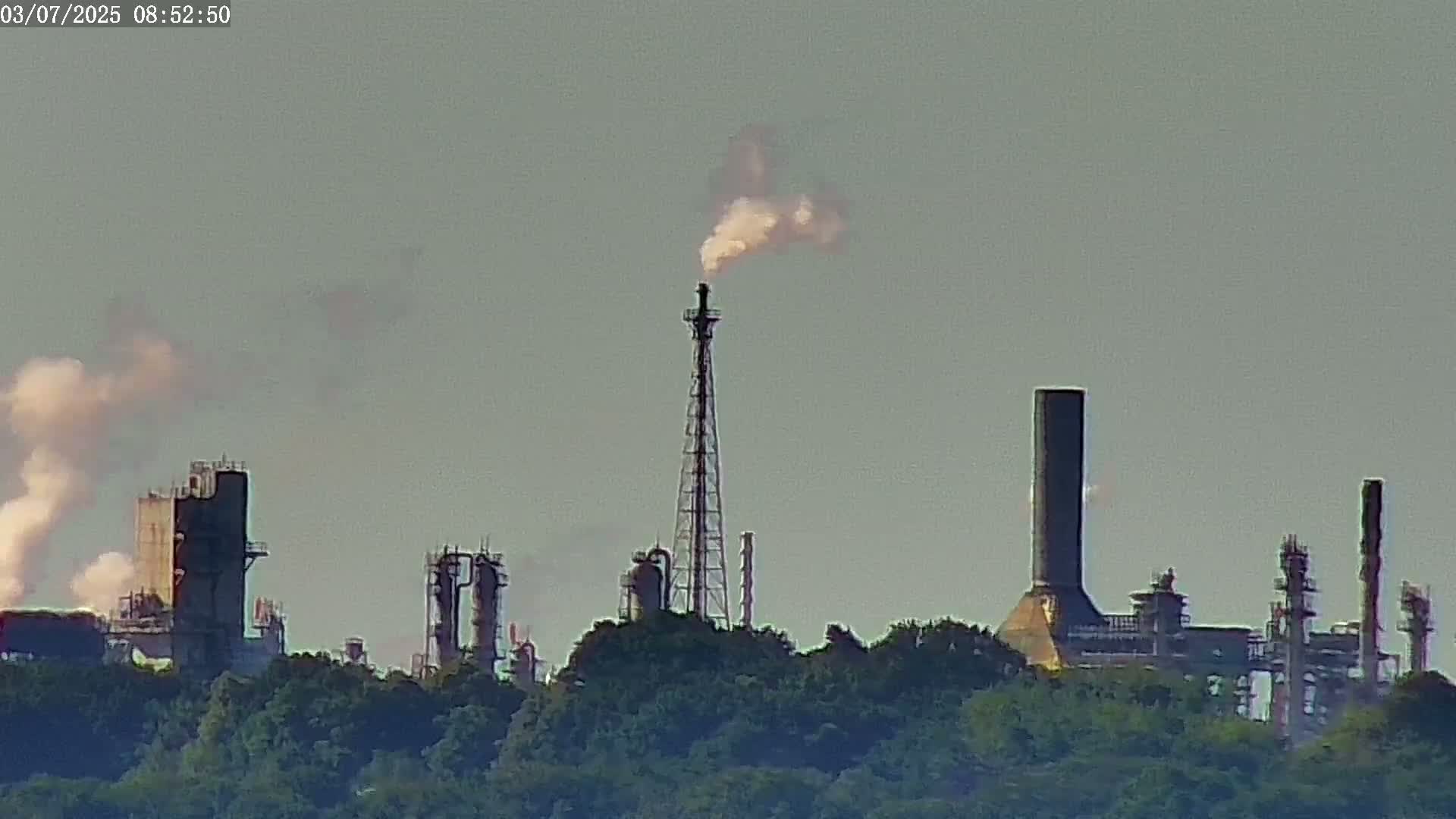 An industrial plant with tall smokestacks emitting smoke is visible over a line of green trees under a pale sky.