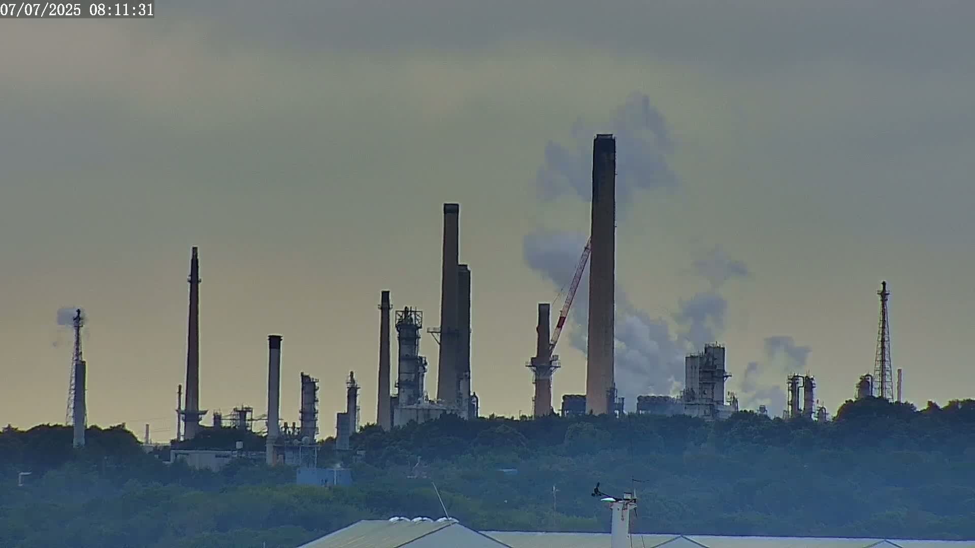 A refinery with numerous tall smokestacks emitting plumes of smoke is partially obscured by a line of trees under an overcast sky.