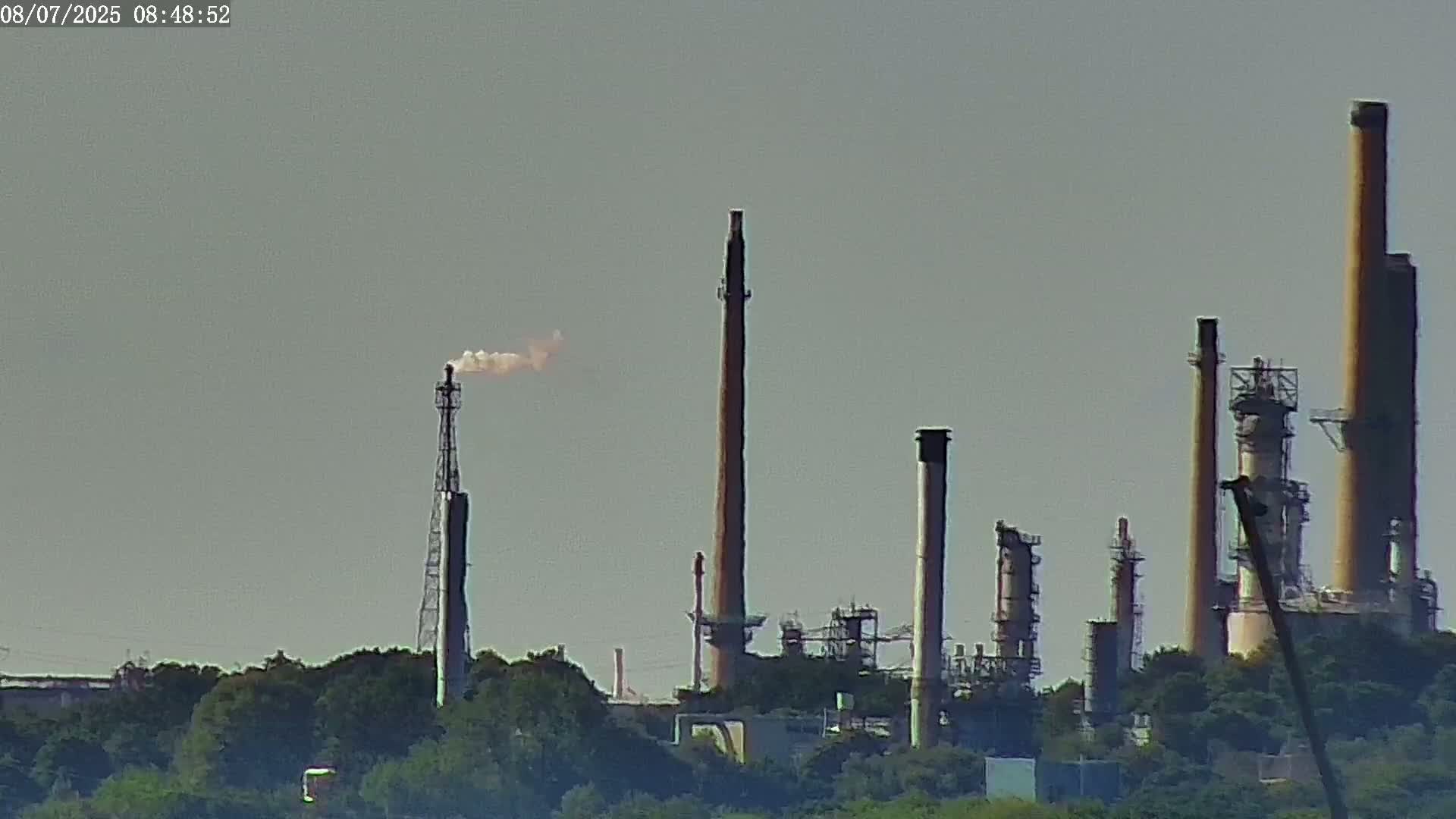 Tall industrial smokestacks, some emitting smoke, rise above a line of green trees under a hazy sky.