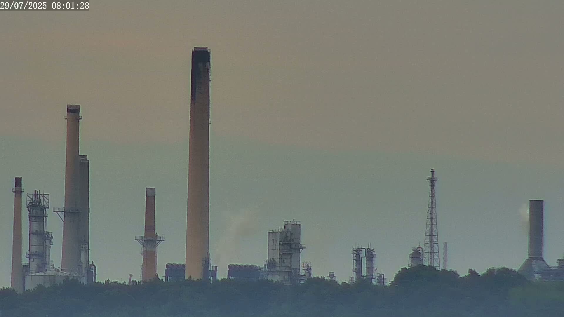 A hazy view of an industrial plant with several tall smokestacks and various structures is seen, partially obscured by vegetation in the foreground.