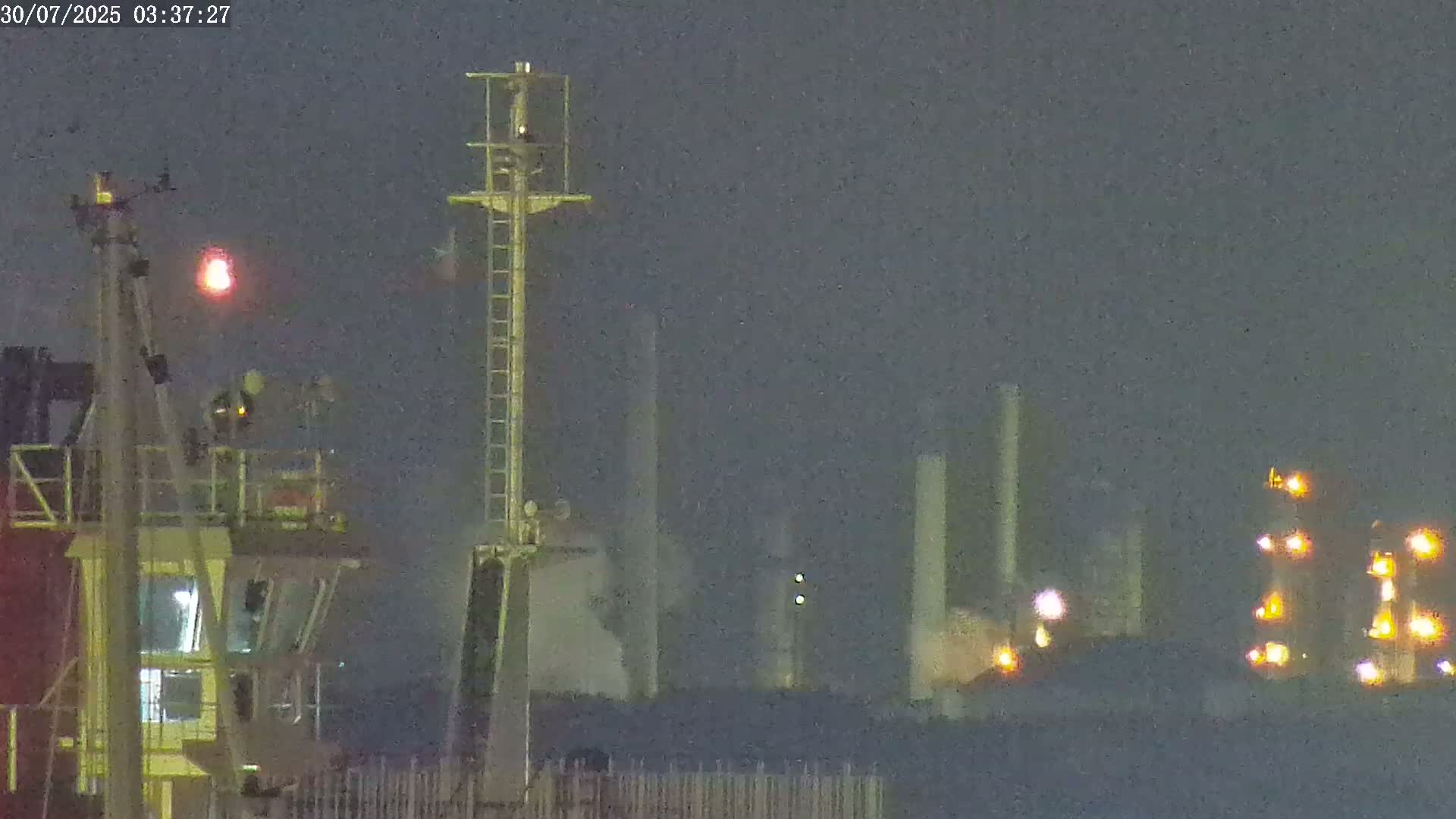 A hazy view of an industrial plant with several tall smokestacks and various structures is seen, partially obscured by vegetation in the foreground.