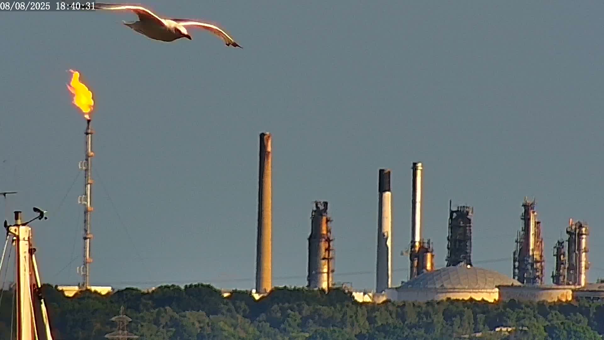 Fawley, ExxonMobil Refinery Live Cam - New Forest, Hampshire, South East, England, United Kingdom