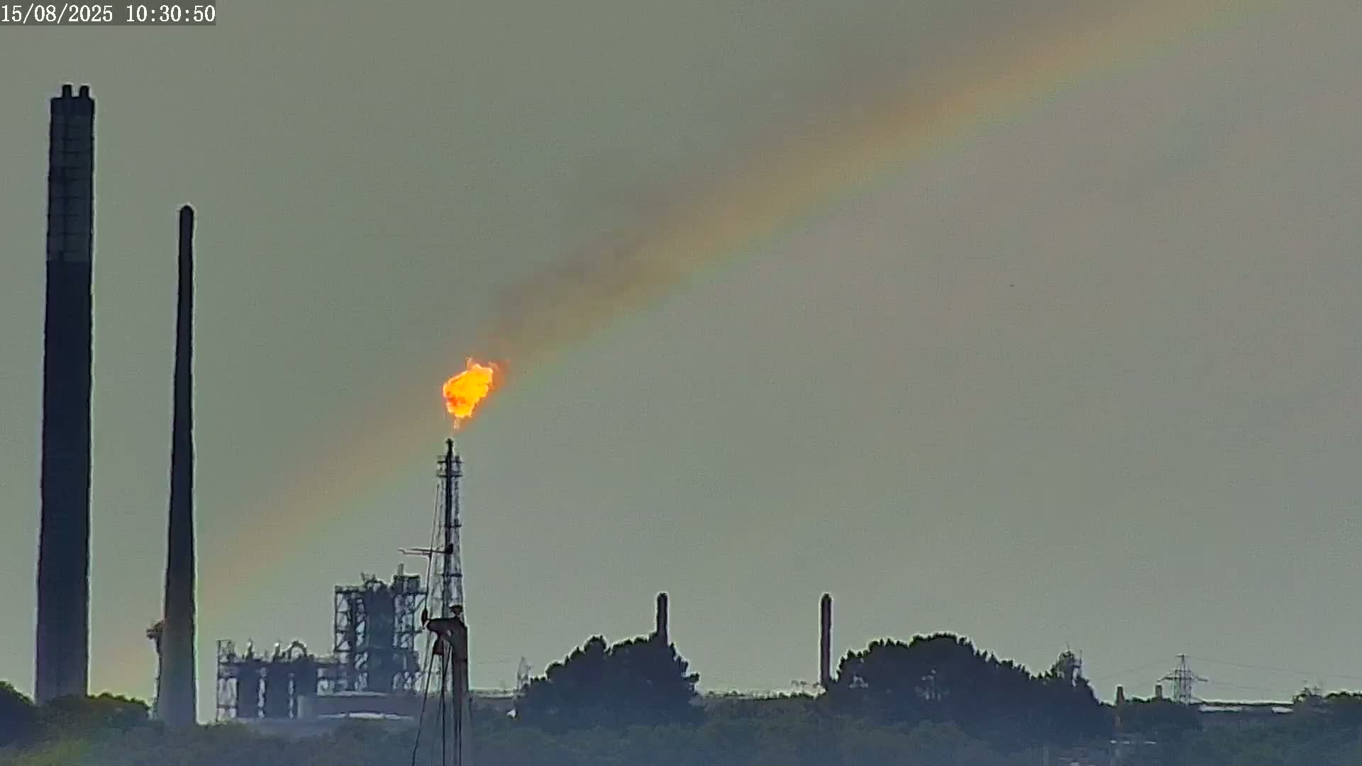 A hazy view of an industrial plant with several tall smokestacks and various structures is seen, partially obscured by vegetation in the foreground.