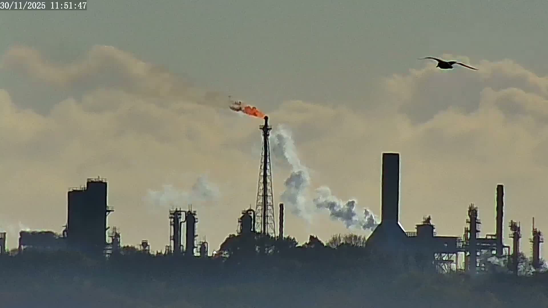 Fawley, ExxonMobil Refinery Live Cam - New Forest, Hampshire, South East, England, United Kingdom