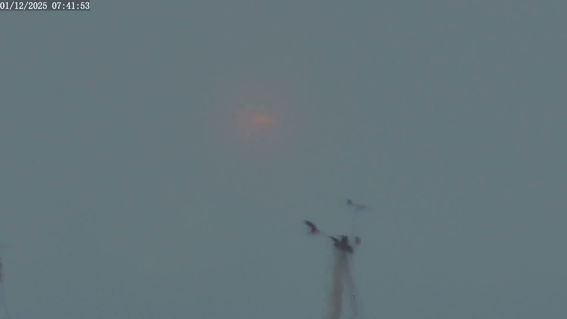 Fawley, ExxonMobil Refinery Live Cam - New Forest, Hampshire, South East, England, United Kingdom