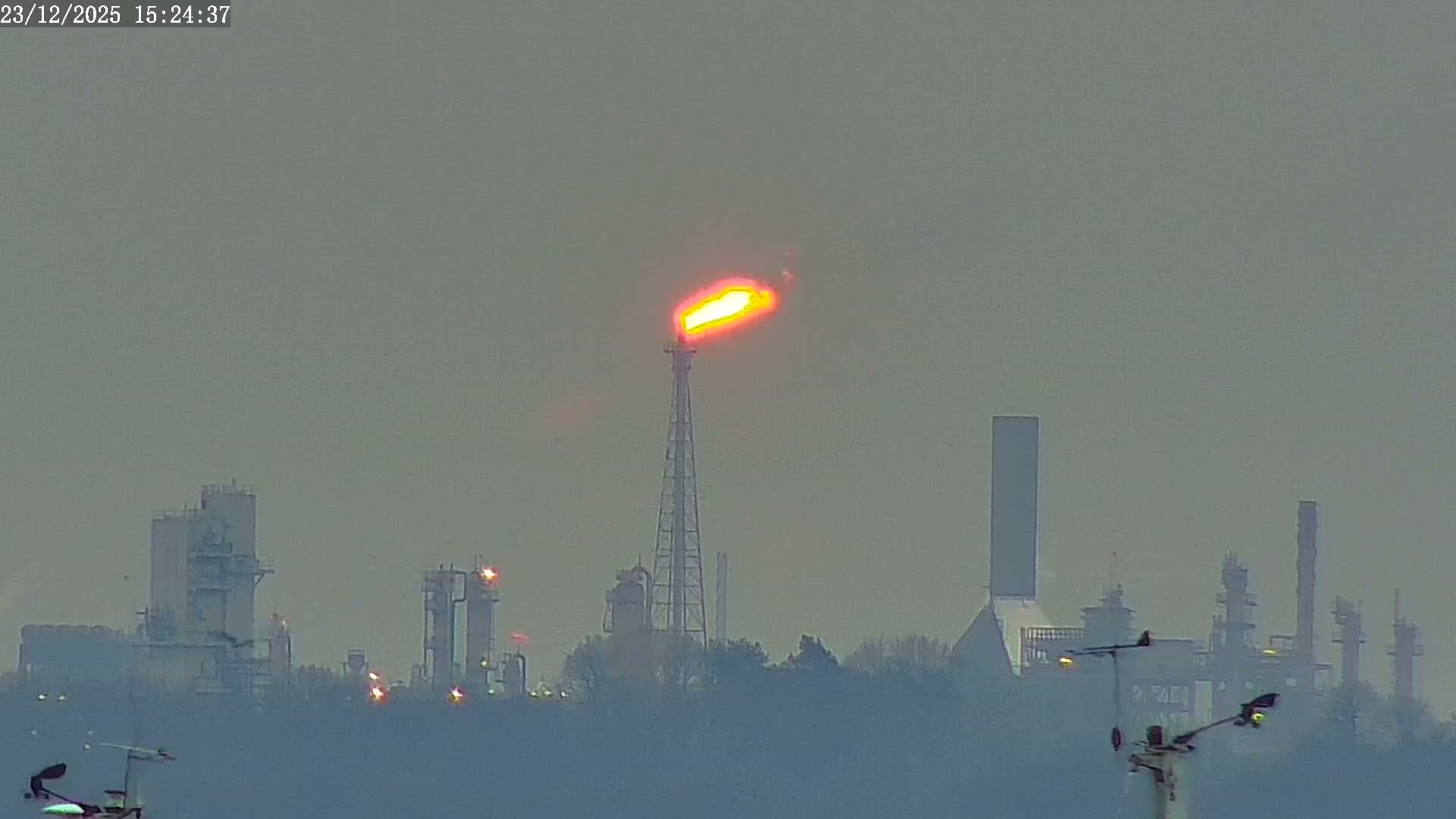 Fawley, ExxonMobil Refinery Live Cam - New Forest, Hampshire, South East, England, United Kingdom