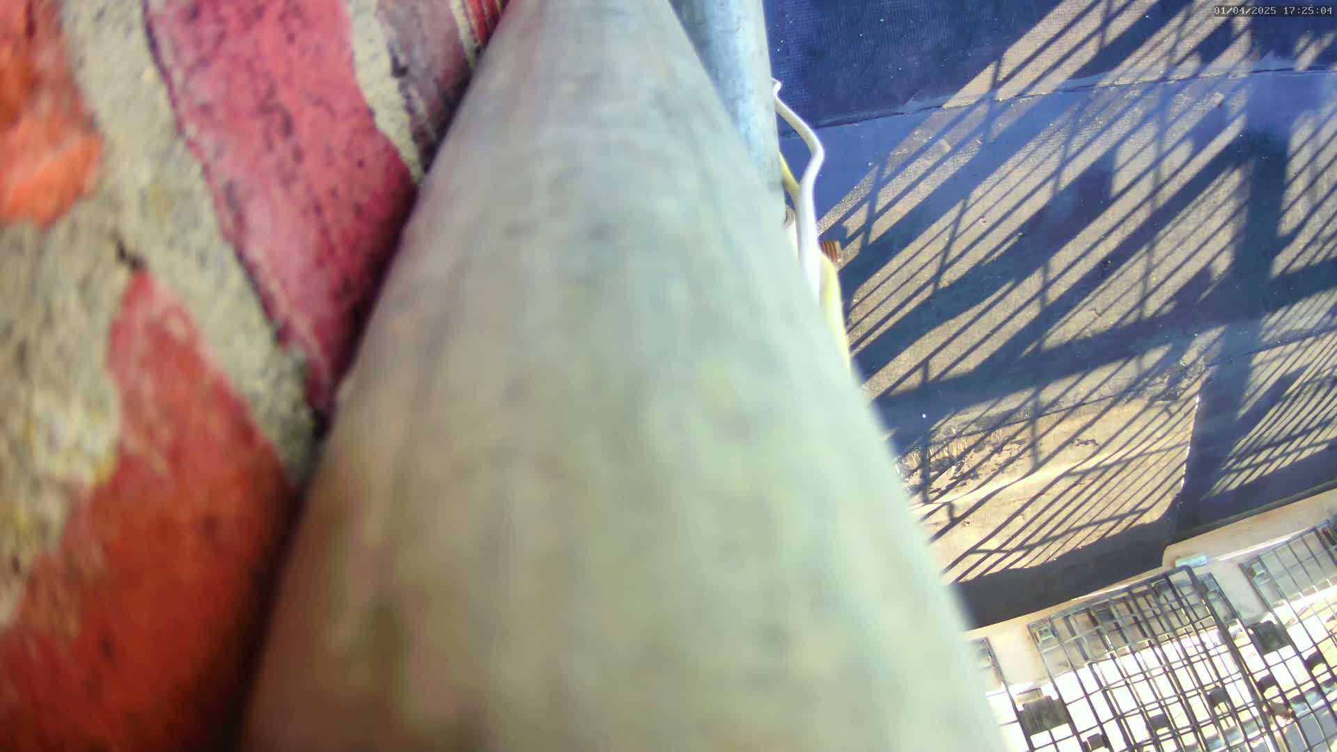 A close-up, blurry view shows a weathered, tan pole next to a red brick wall, overlooking a sunny, shadowed asphalt area with a metal grate below.