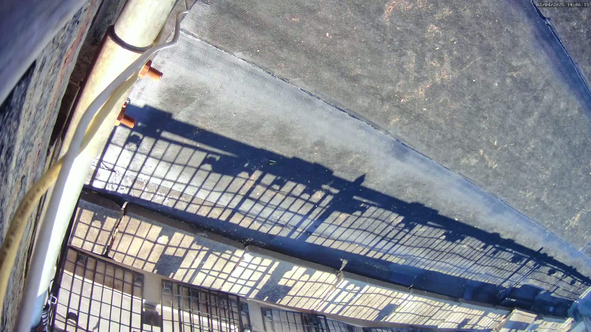 A high-angle view shows the shadow of a metal gate cast on a rooftop under sunny conditions.