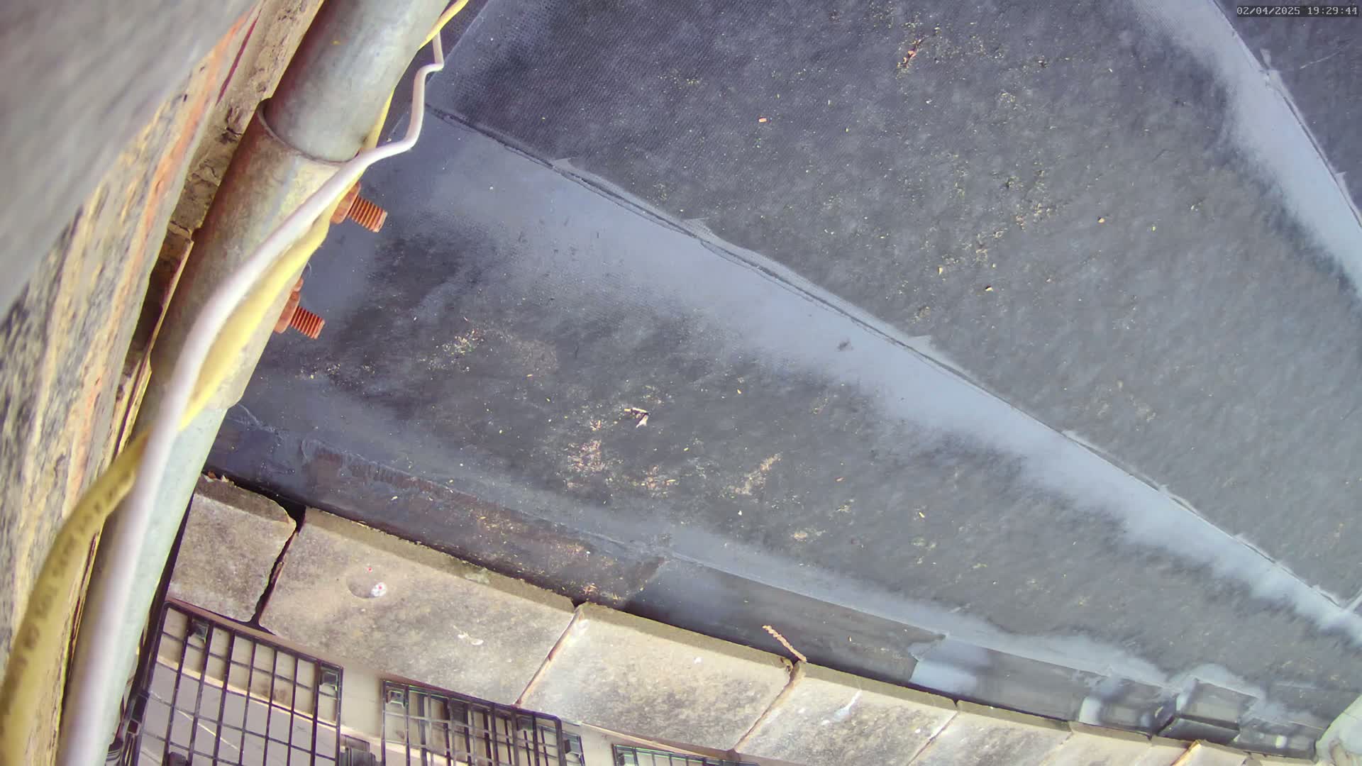 A low-angle view shows a dark gray, possibly rubber, surface affixed to a stone or brick wall.