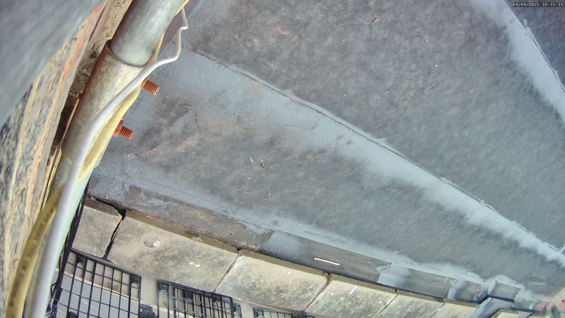 A low-angle view shows a dark gray, possibly rubber, surface attached to a stone or brick wall, with a metal pipe and wires visible nearby.