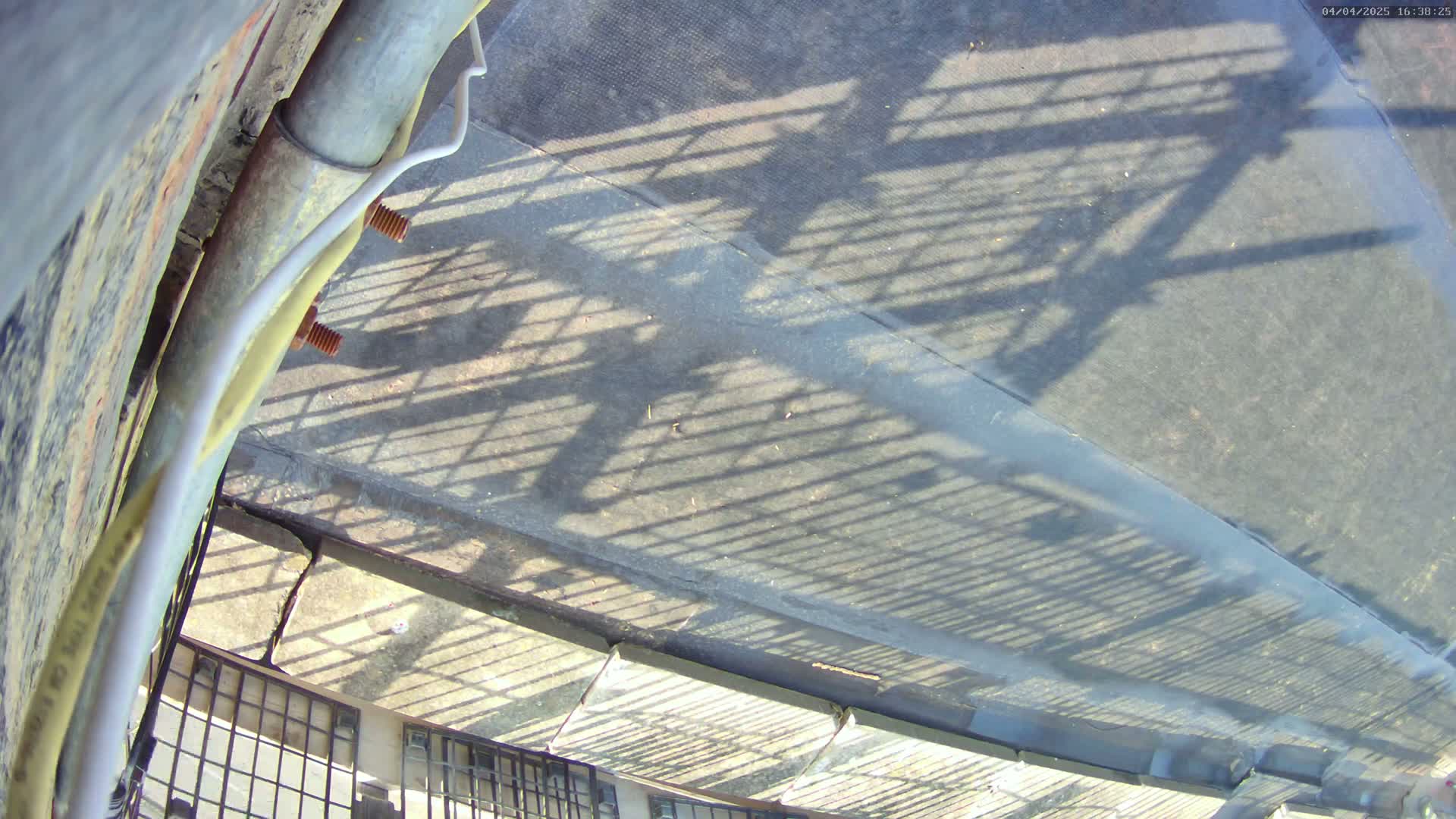 A high-angle view shows the shadows of a metal fence cast on a paved surface below, in sunny weather.