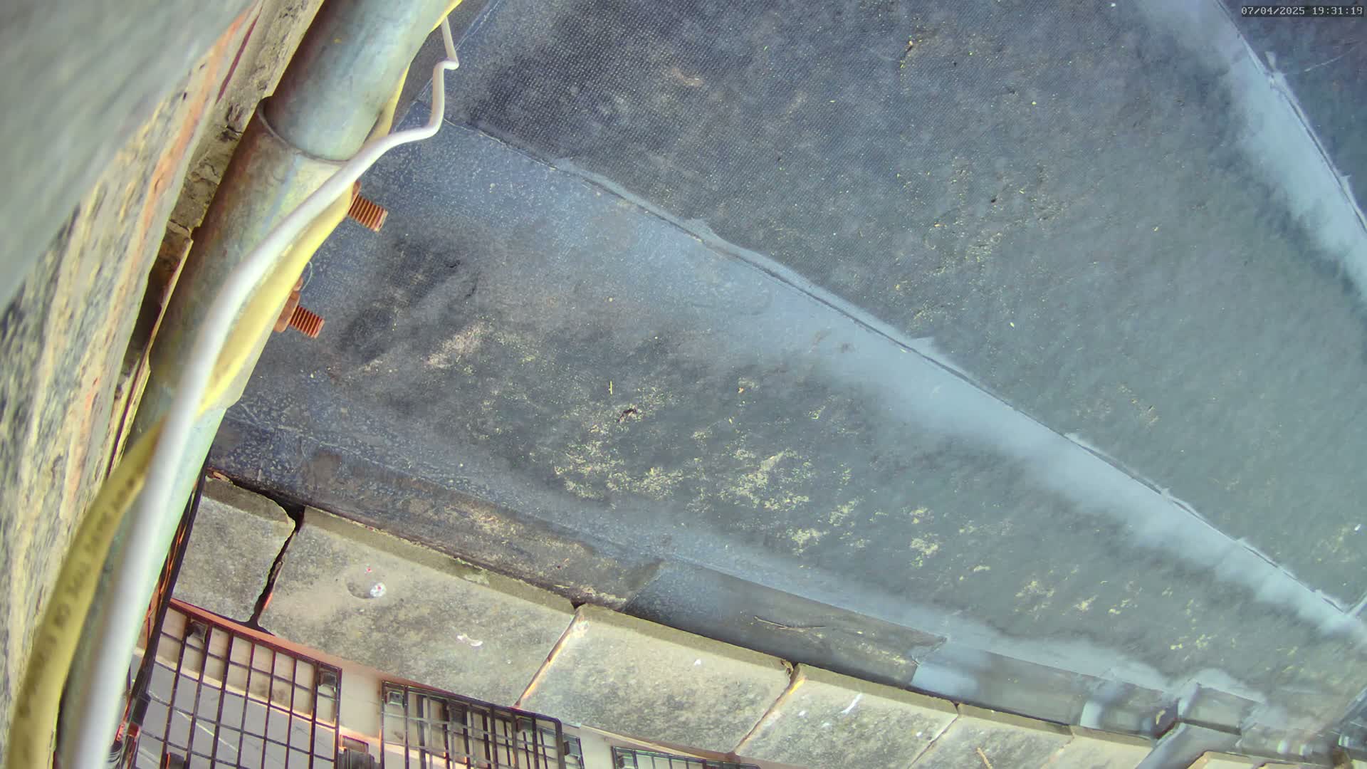 A dark gray, textured surface, possibly a roof, is seen from a low angle, with a metal pipe and some stonework visible below.