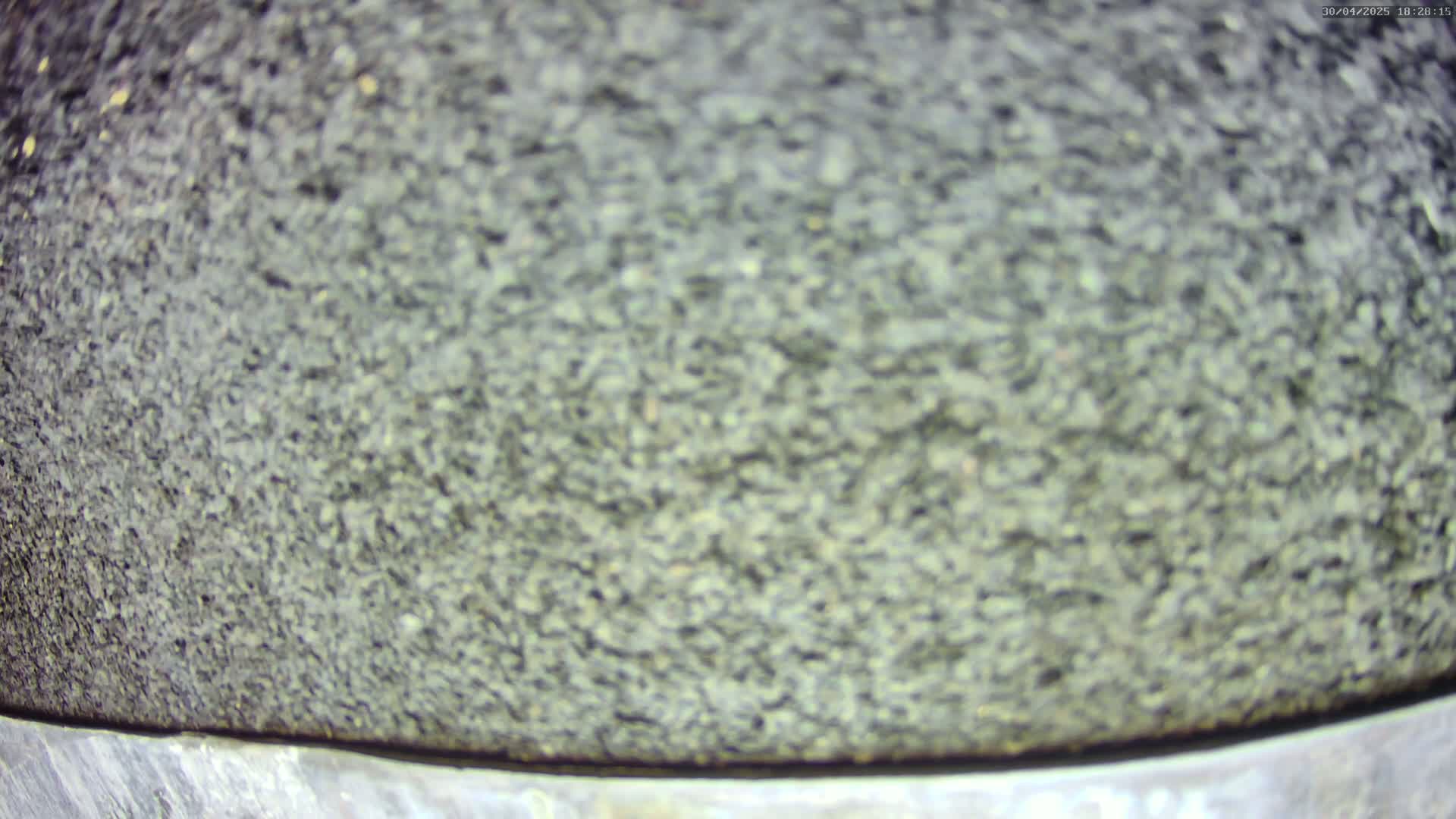 A close-up view shows a textured, dark gray surface, possibly stone or asphalt.