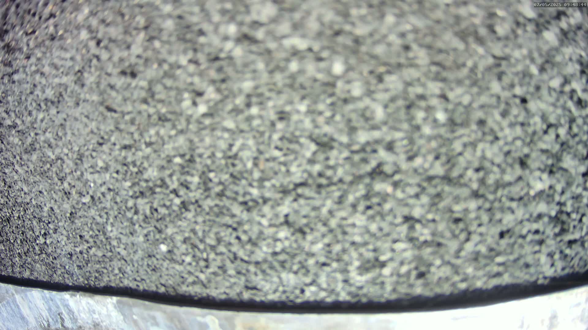A blurry close-up shows a dark gray, granular surface, possibly asphalt or gravel.