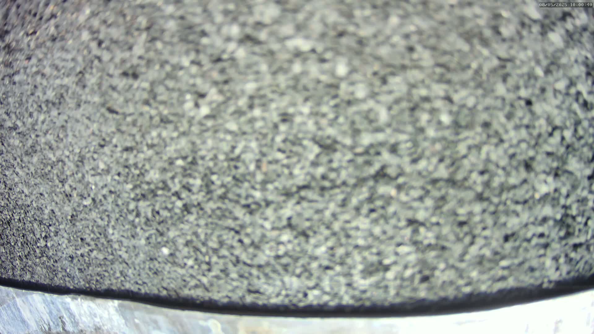 A blurry close-up of a dark gray, granular surface.