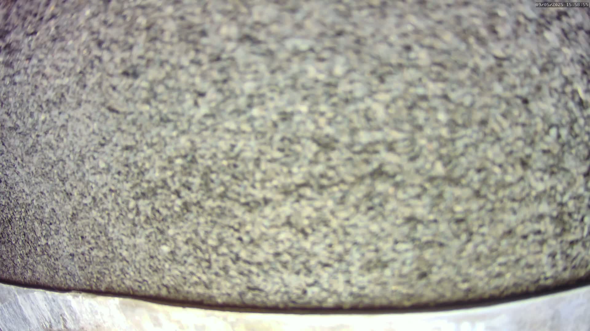 A close-up shows a coarse, textured, dark grayish-brown surface, possibly stone or asphalt.