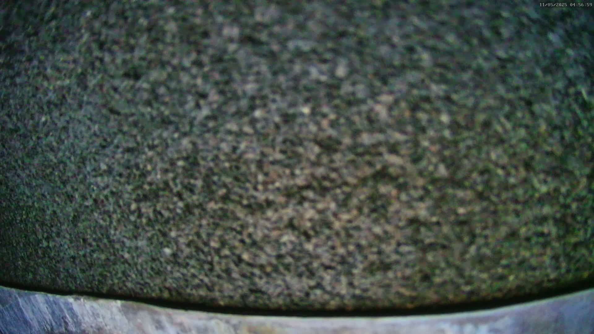 A close-up view shows the coarse, dark-green textured surface of a large stone object.
