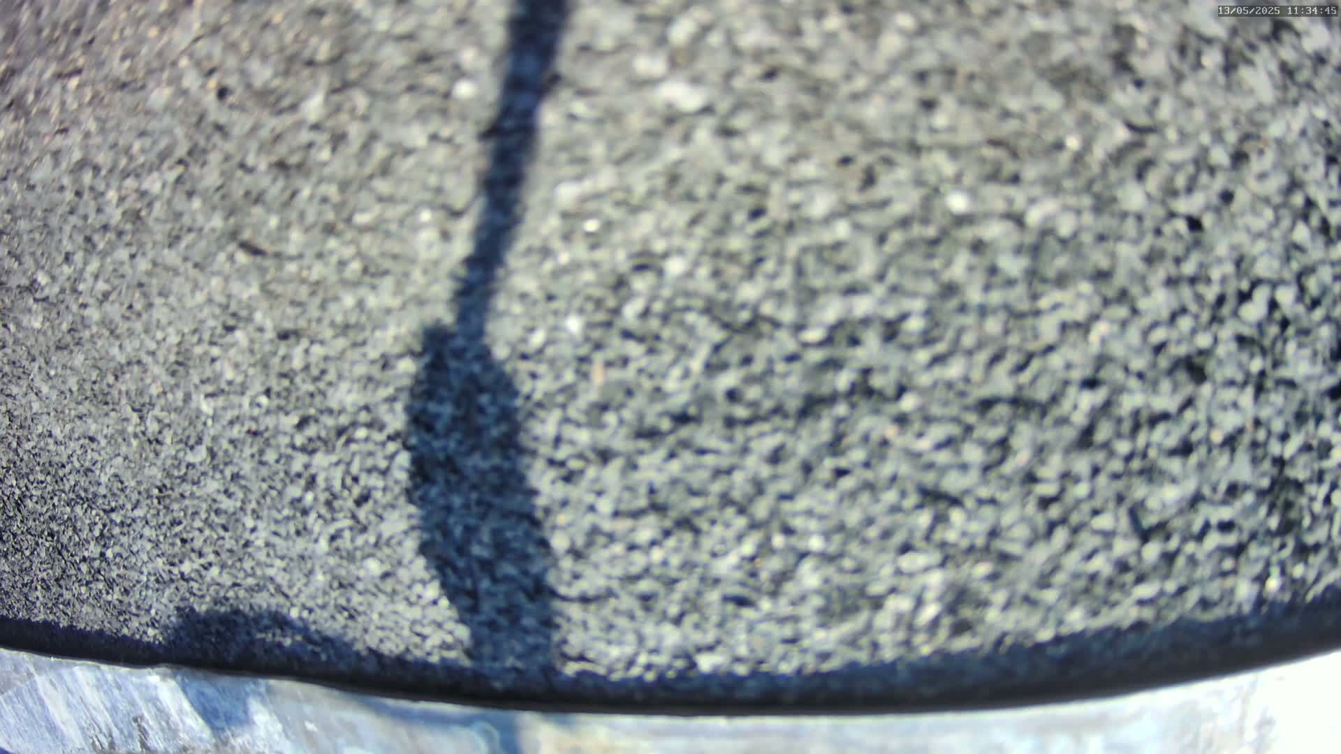 A blurry close-up shows a dark gray, pebble-like surface with a long shadow cast across it in bright sunlight.