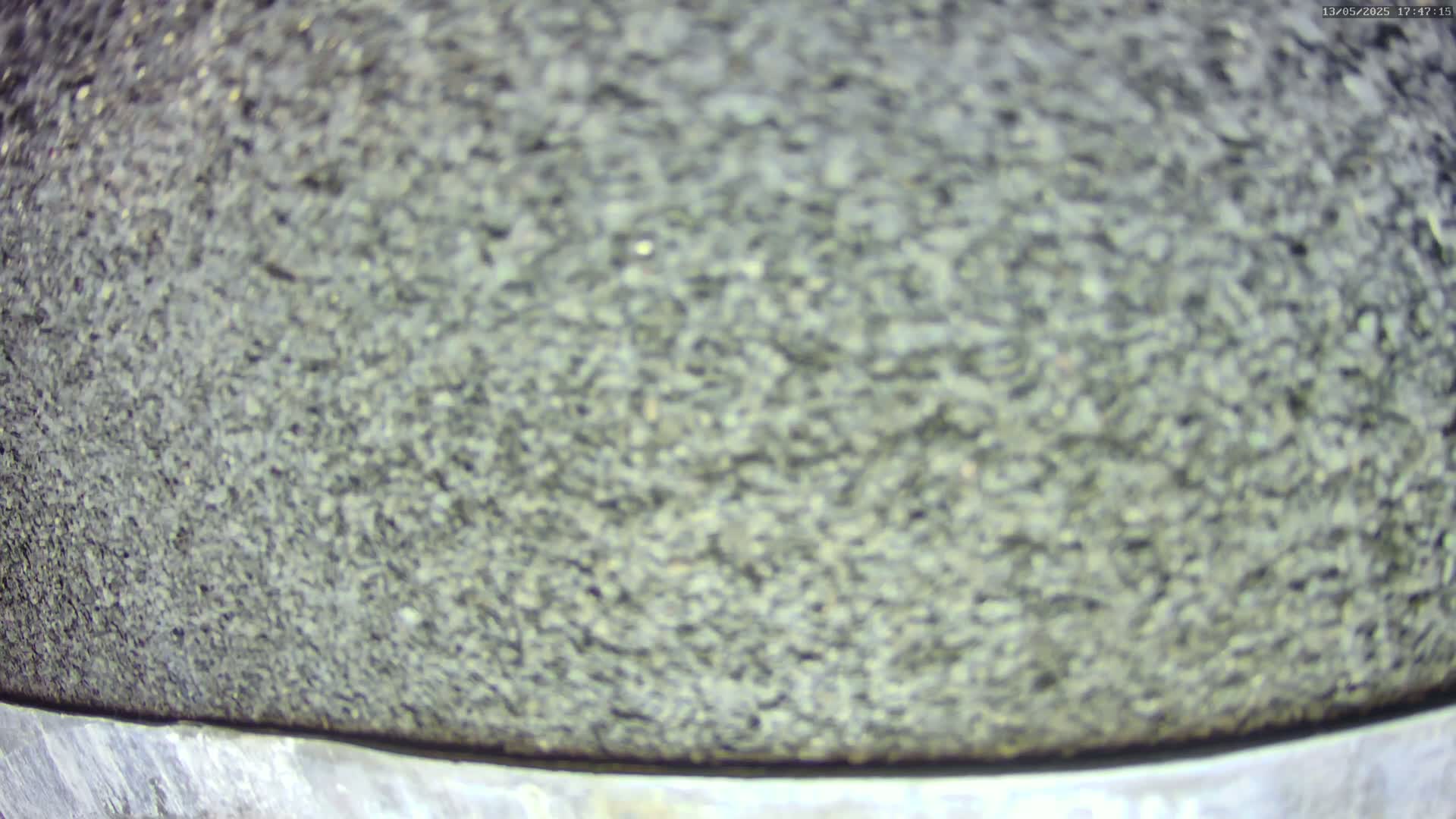 A close-up view of a coarse, dark gray textured surface, possibly stone or asphalt.
