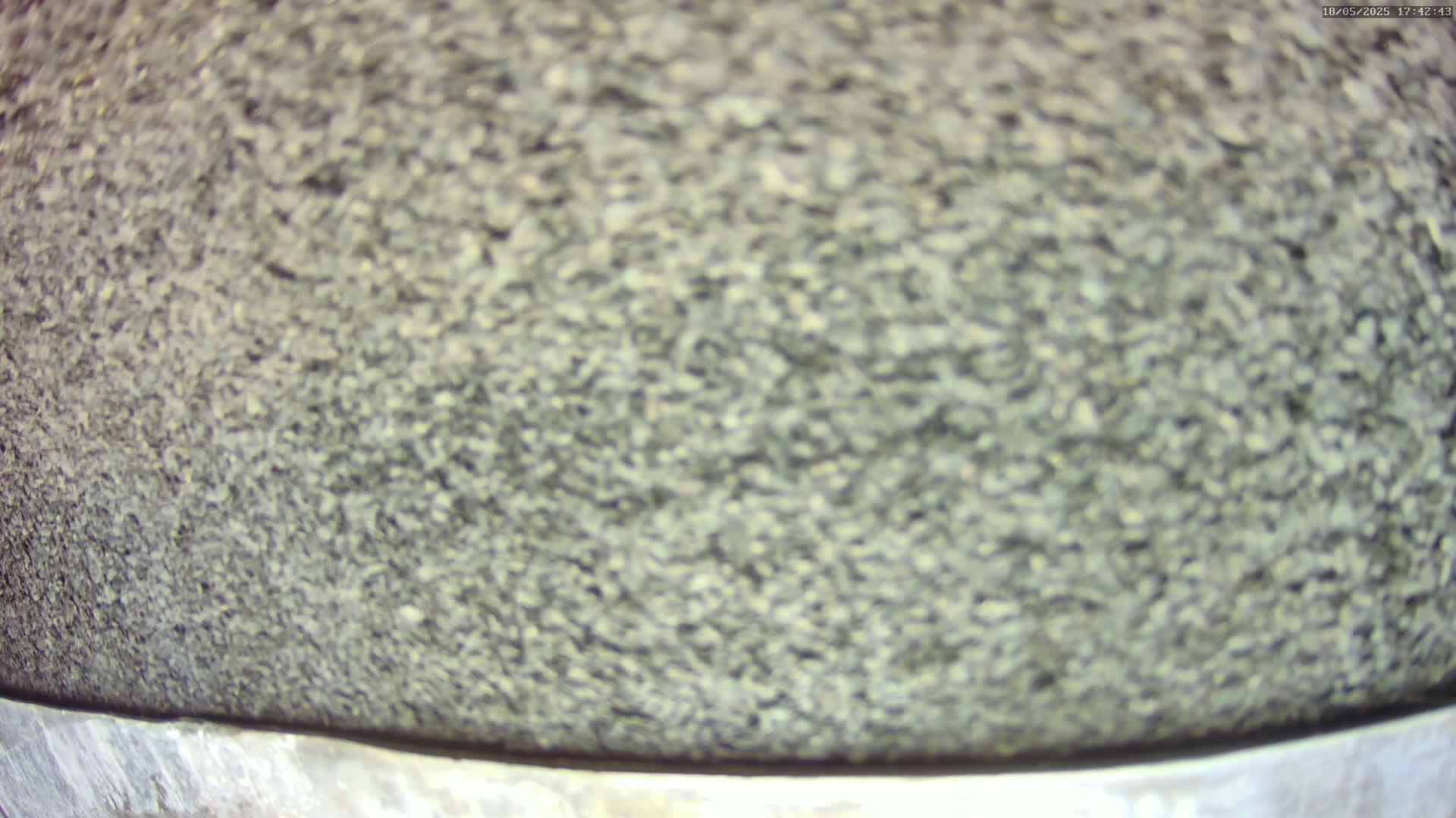 A close-up view shows a coarse, granular texture resembling asphalt or gravel.