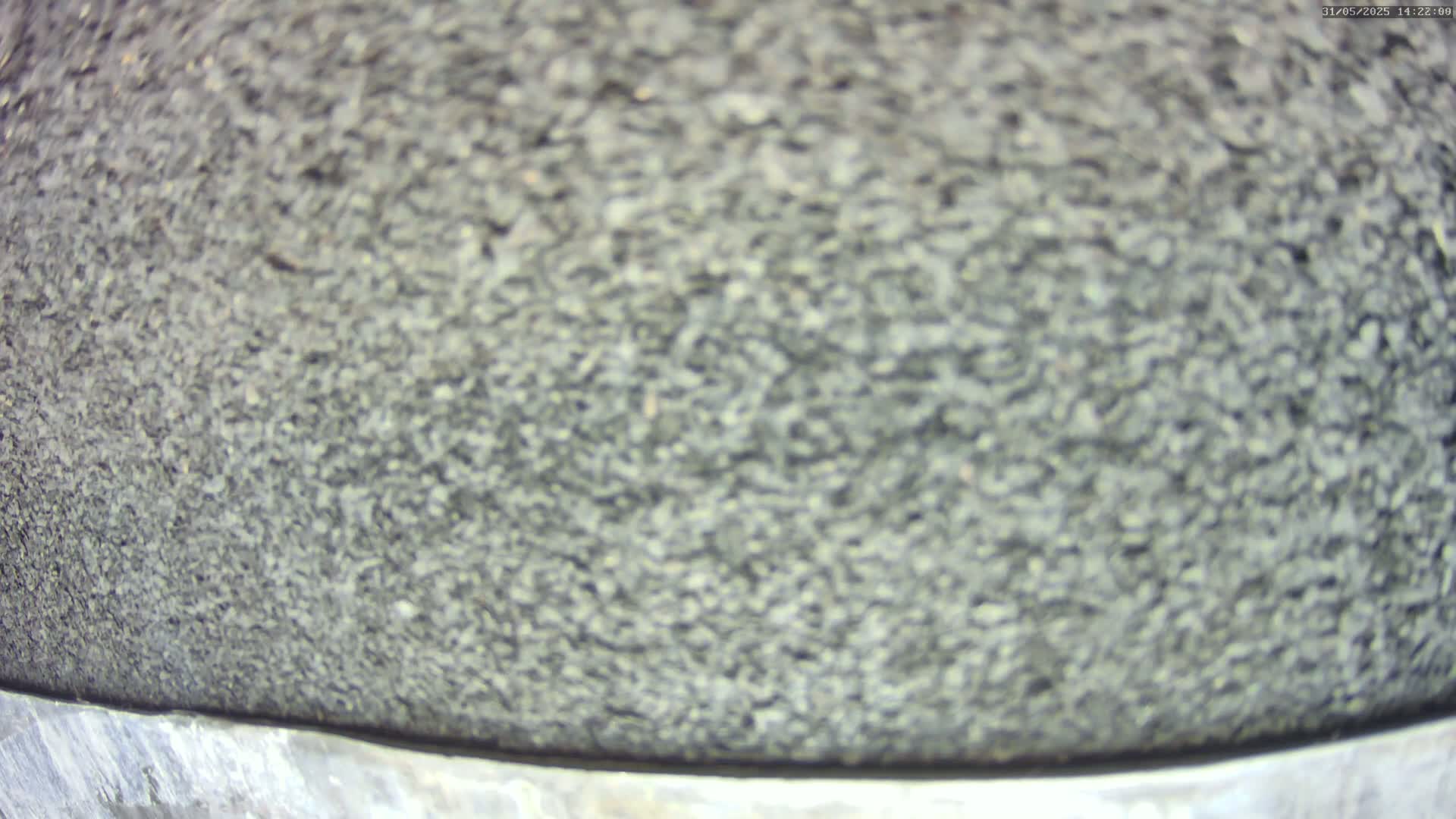 A close-up view shows a textured, dark gray surface, possibly asphalt or a similar material.