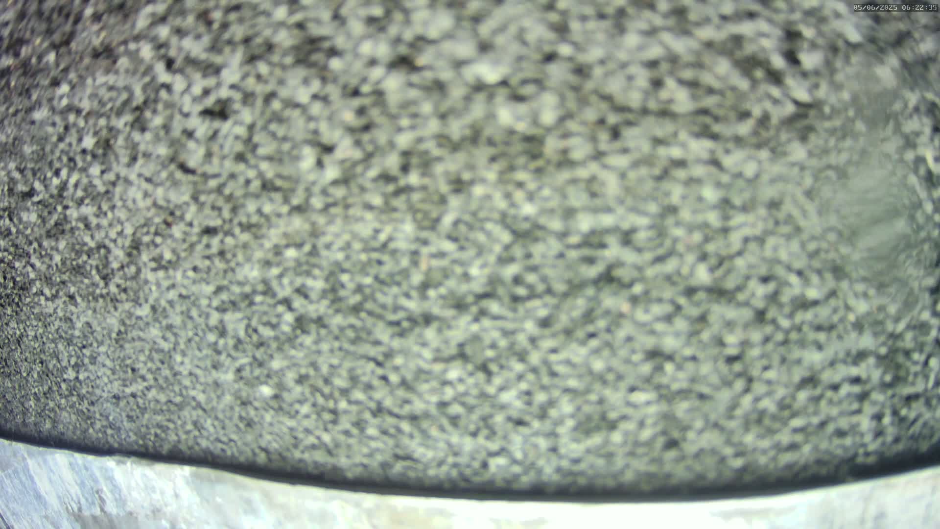 A blurry close-up shows a gray, pebbled surface.