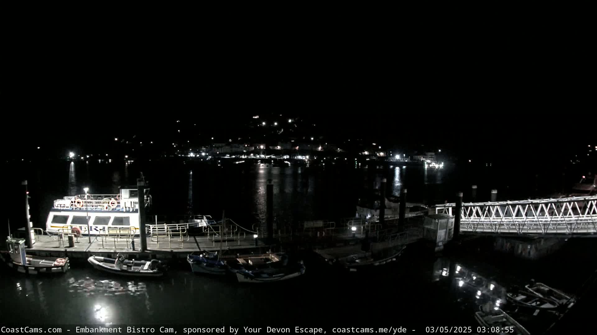 At night, a ferry and several small boats are moored at a dock near a town's illuminated waterfront.