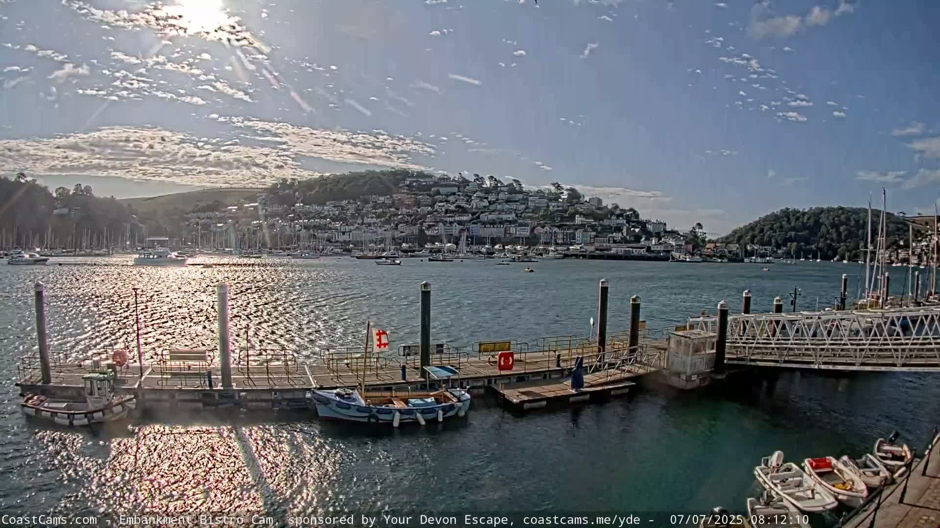 A sunny day shows a harbor with many boats and a town built on a hill in the background.