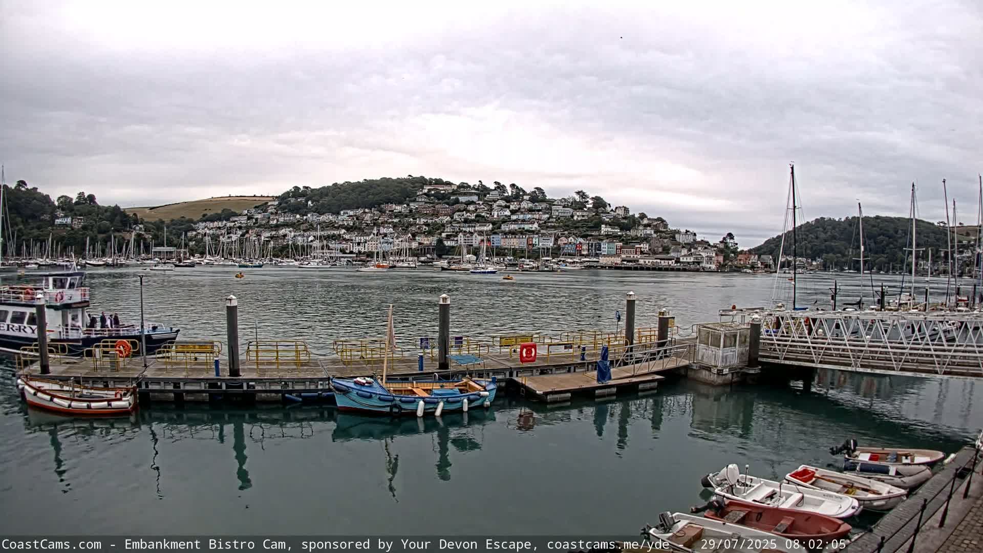 A harbor filled with boats on a cloudy day, with a hillside town in the background.