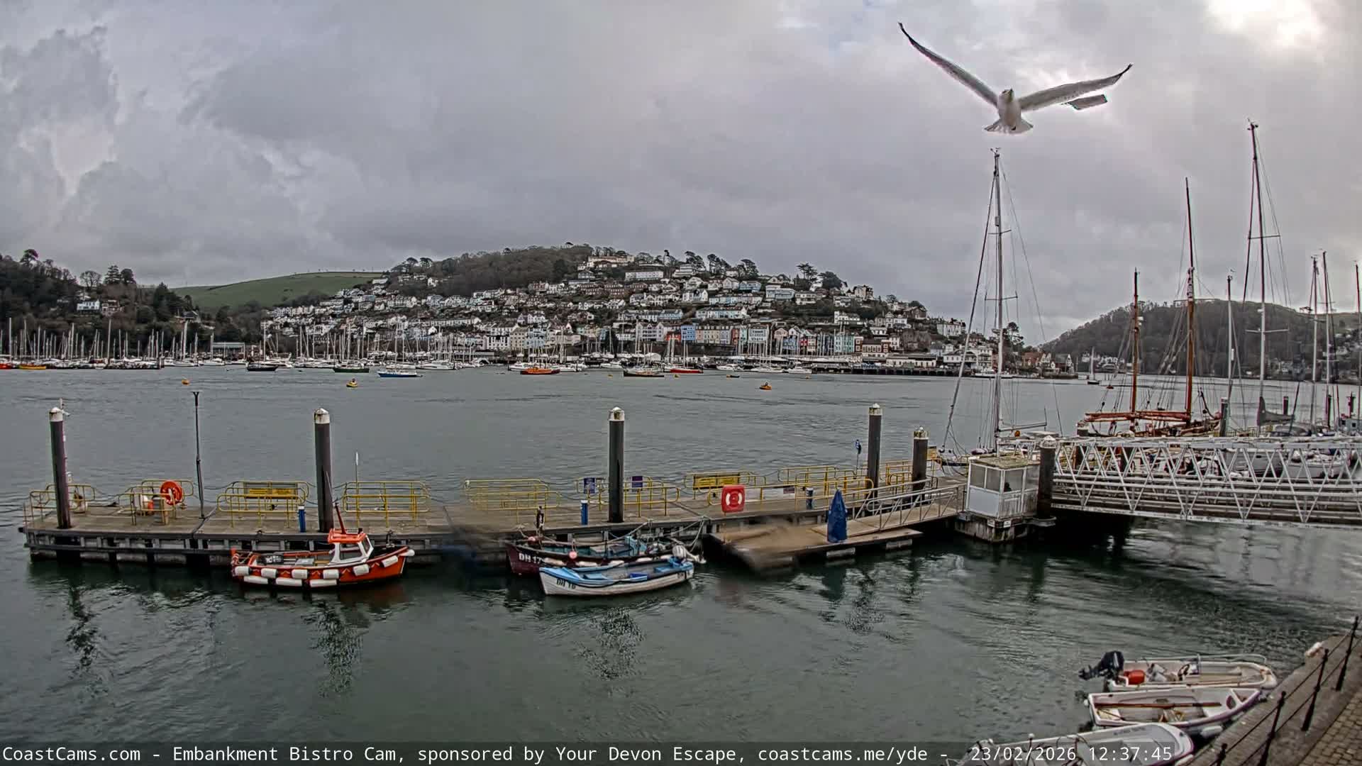 Dartmouth North Ferry Terminal & Pontoon Live Cam - South Hams, Devon, South West, England, United Kingdom