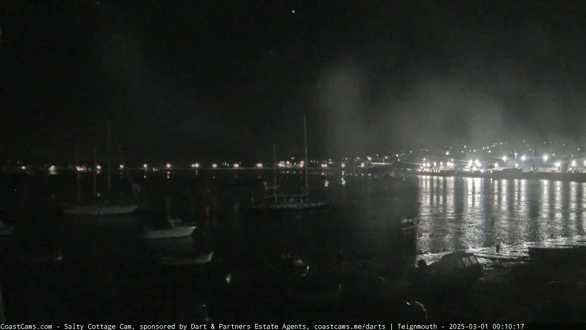 A nighttime view of a harbor with several boats moored, under a dark sky.