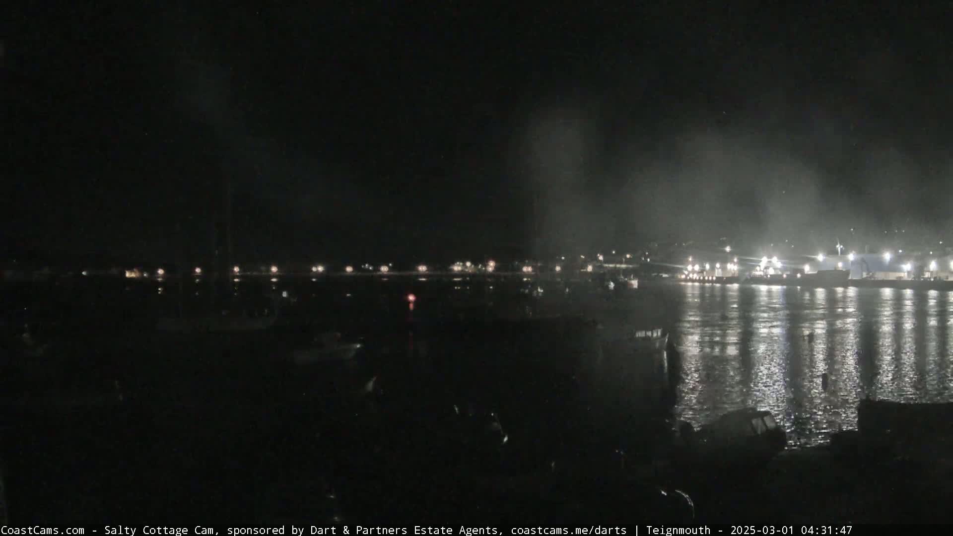 A nighttime harbor scene shows faintly lit boats and buildings across a dark body of water under a hazy sky.