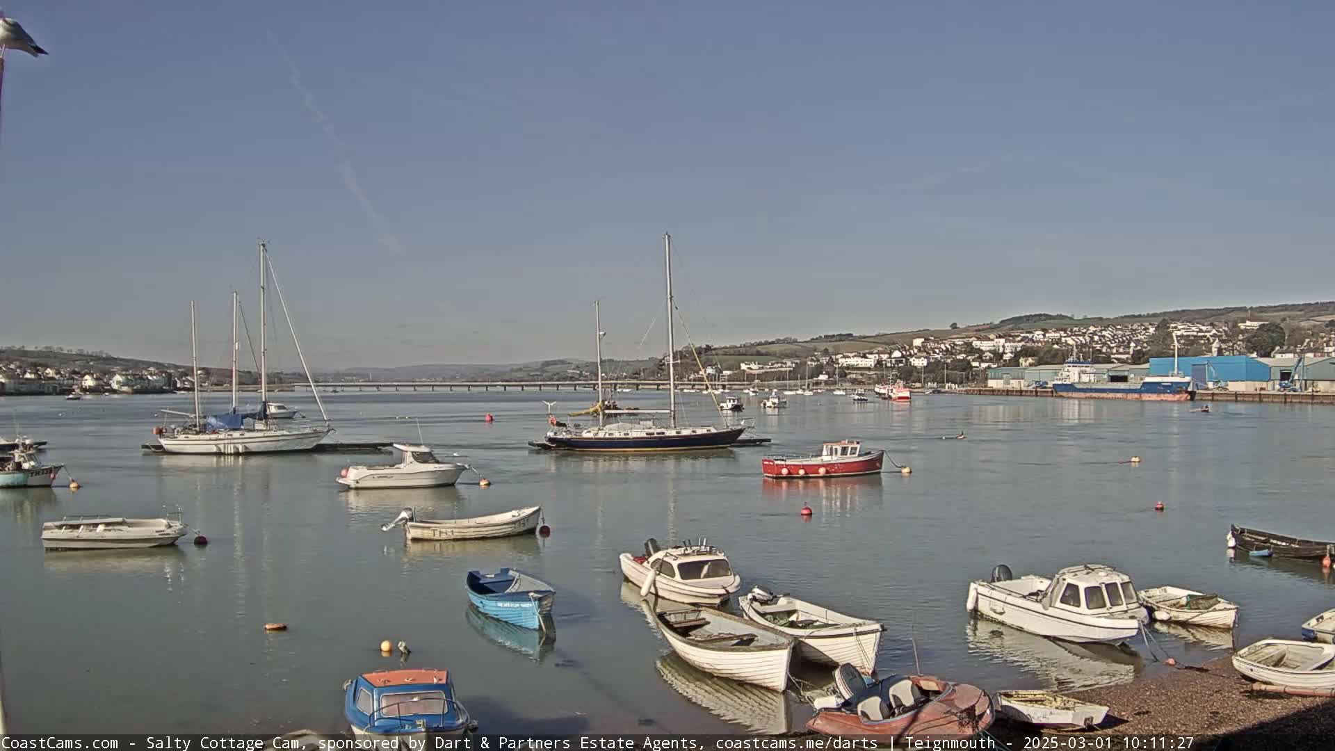 Under a clear blue sky, numerous sailboats and motorboats are moored in a calm harbor, with a town and bridge visible in the distance.