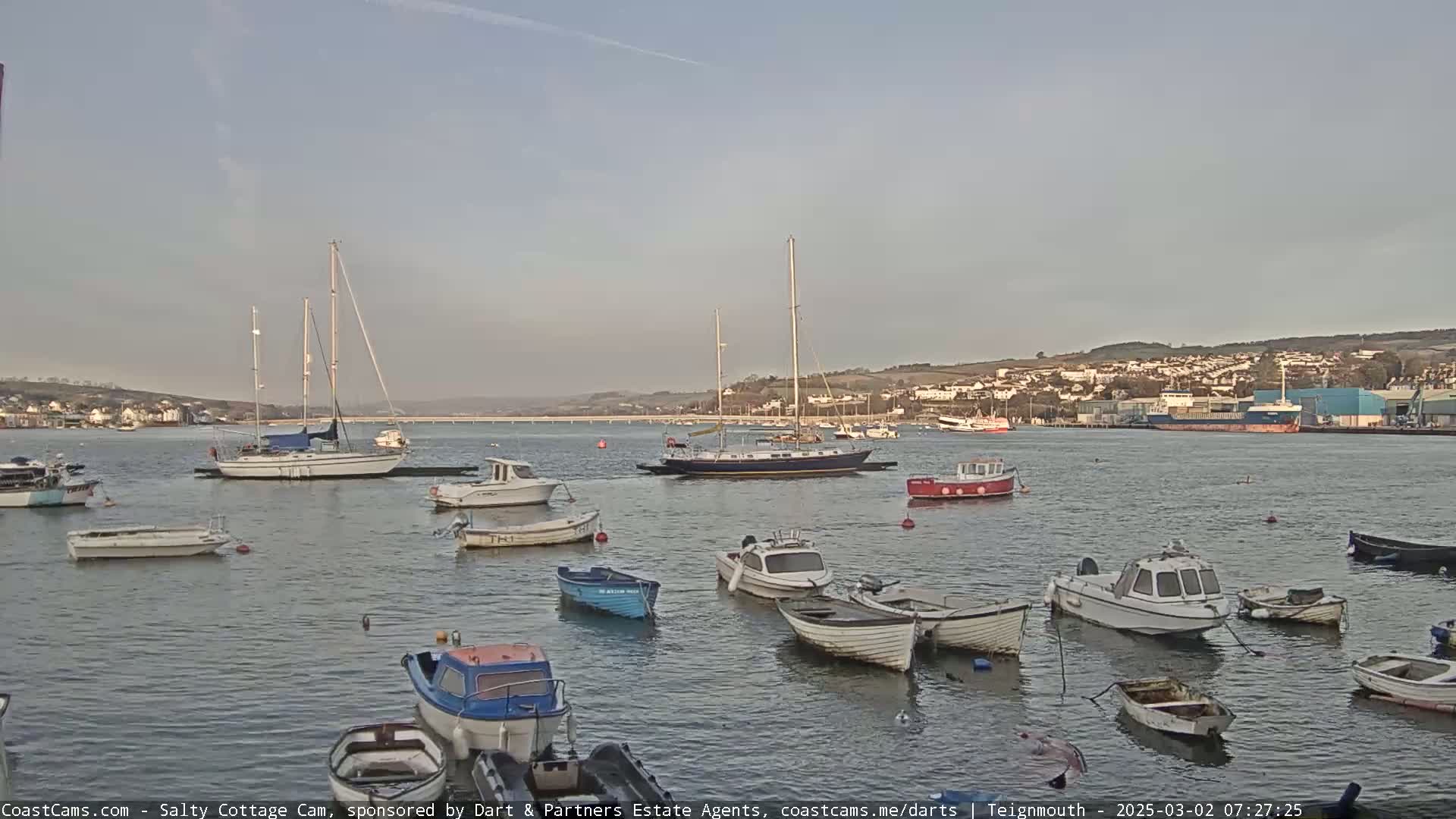 Numerous small boats and sailboats are moored in calm water under a clear, light-blue sky, with a town visible in the distance across the water.