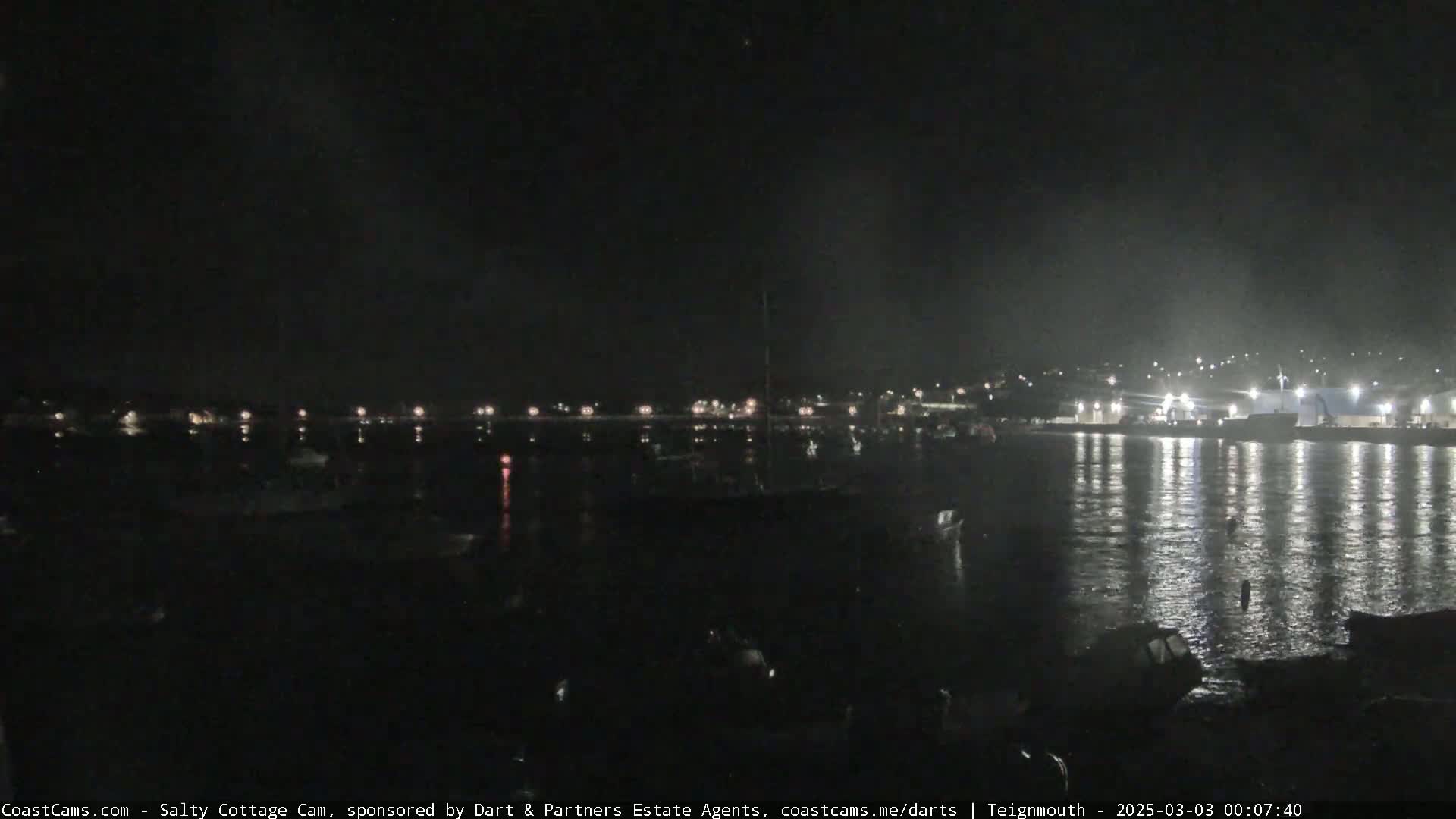 A nighttime view of a calm harbor with boats moored, and lights illuminating a distant town under a dark sky.