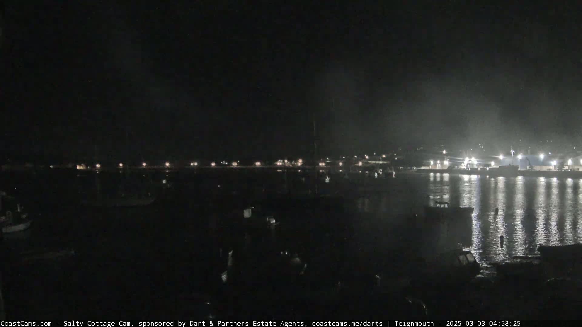 A nighttime view of a harbor with several boats and a waterfront town showing lights in the distance under a dark, clear sky.