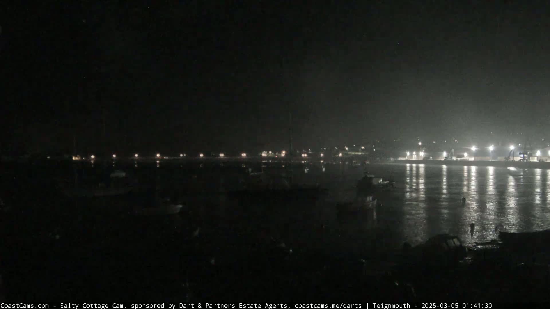 A nighttime view of a harbor filled with boats under a dark, possibly overcast sky.