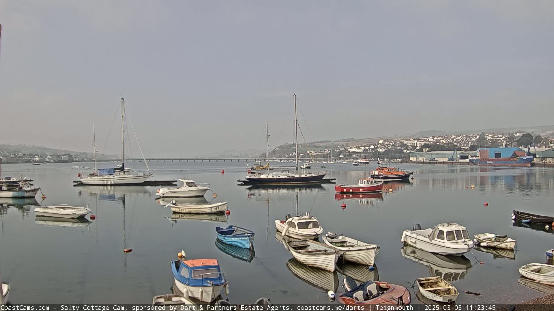 Numerous boats of varying sizes are moored in a calm harbor under a hazy sky.