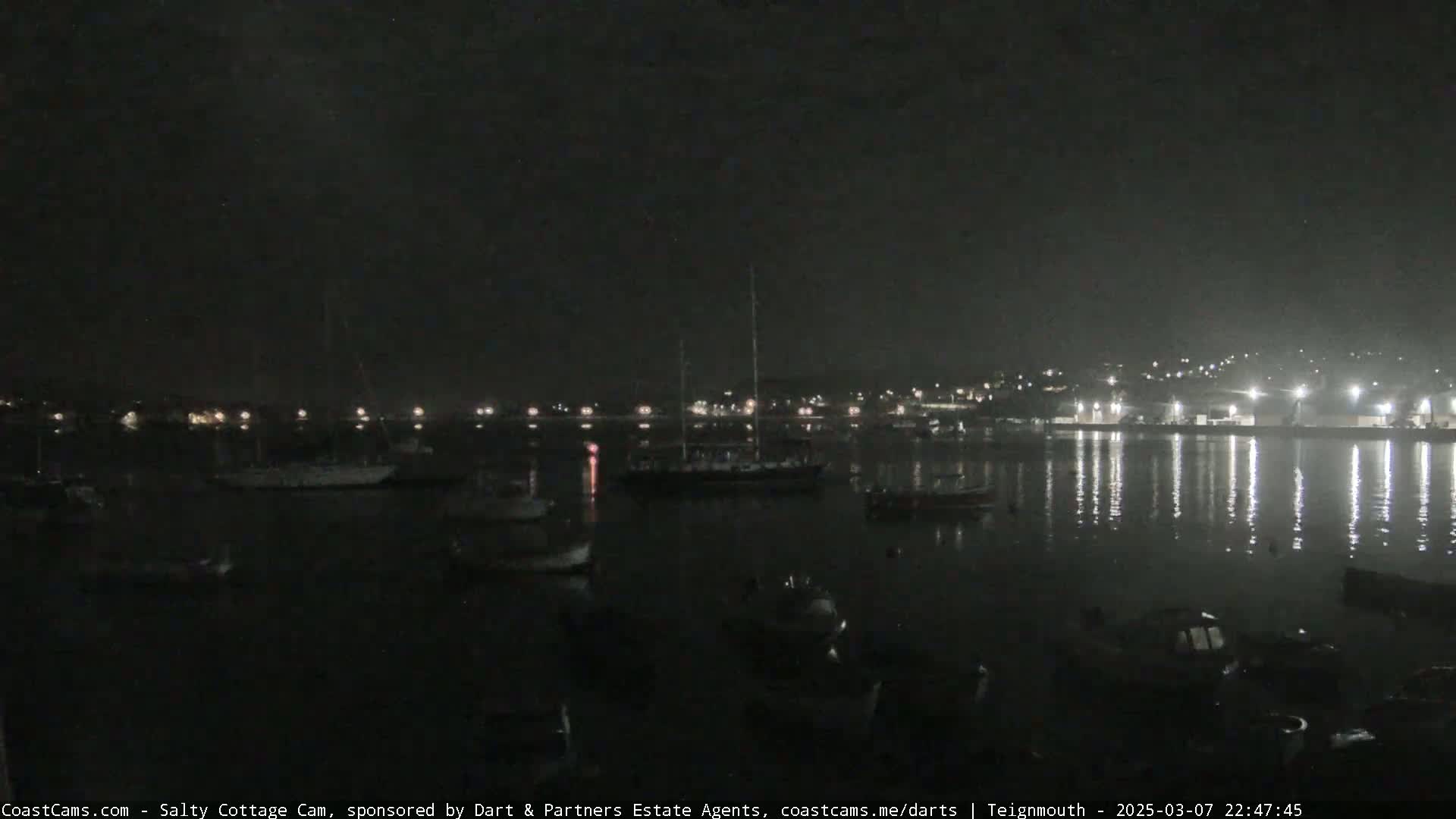 A nighttime view of a harbor with many boats moored, under a dark sky.