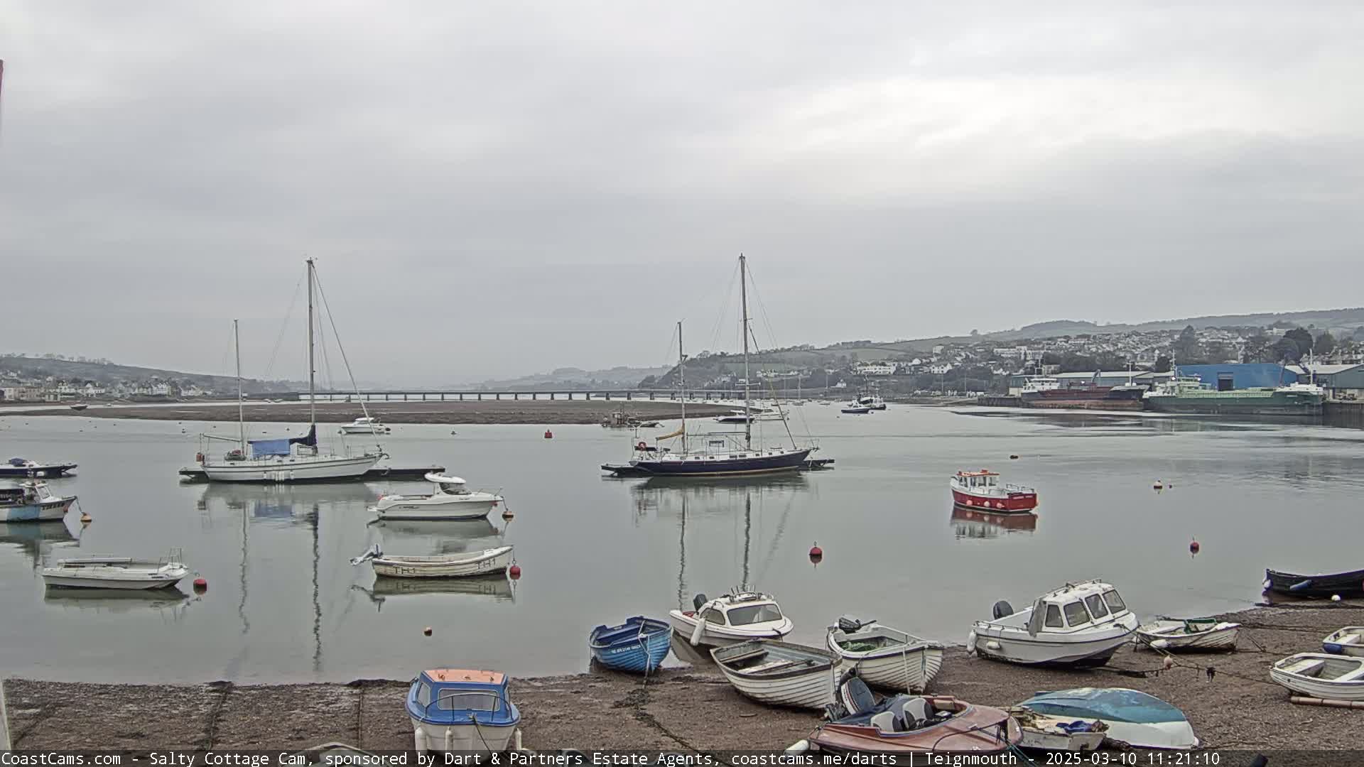 Numerous boats are moored in calm, gray water under an overcast sky, with a town and bridge visible in the distance.