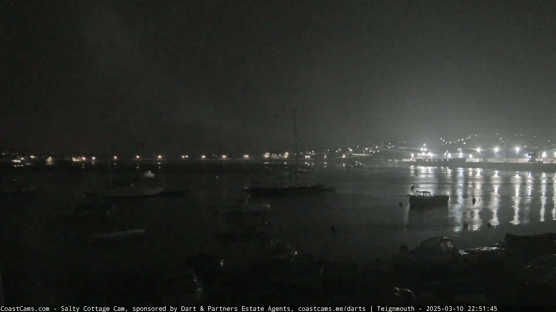 A nighttime harbor scene shows numerous boats moored in calm water under a dark, overcast sky.