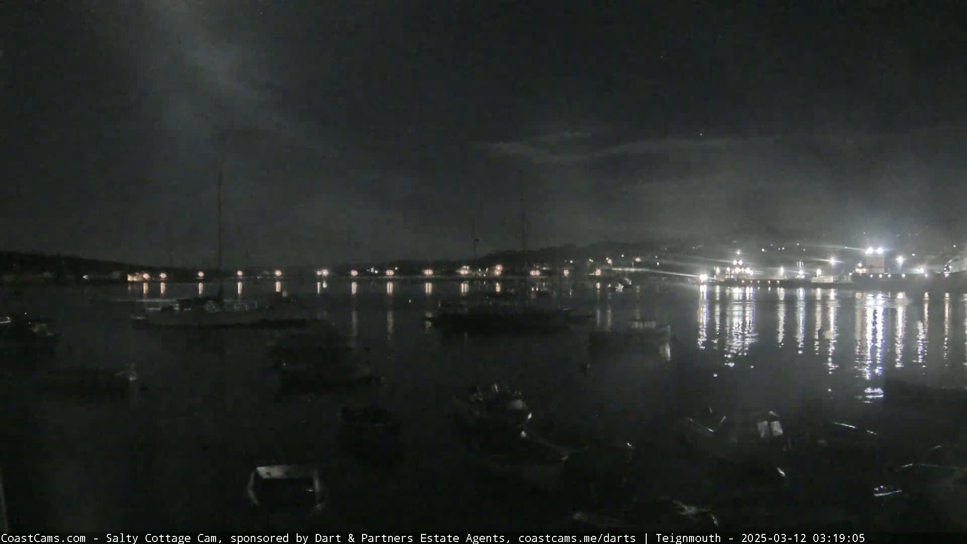 A nighttime view of a harbor with numerous boats moored, under a dark, cloudy sky.