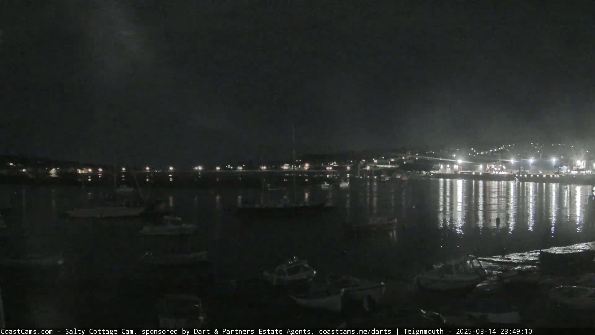 A nighttime view of a harbor filled with boats, with a town's lights reflected on the calm water under a dark, clear sky.
