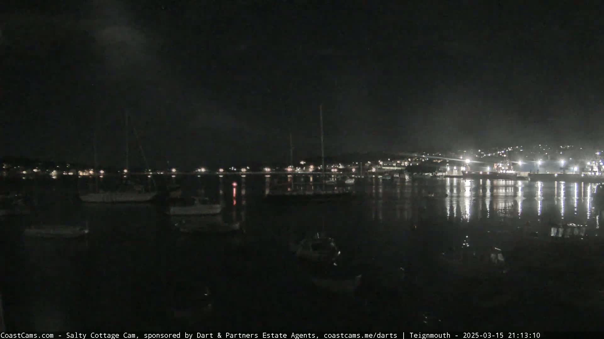 A nighttime harbor scene with numerous boats moored, illuminated by lights from the shore and faint reflections on the calm water.