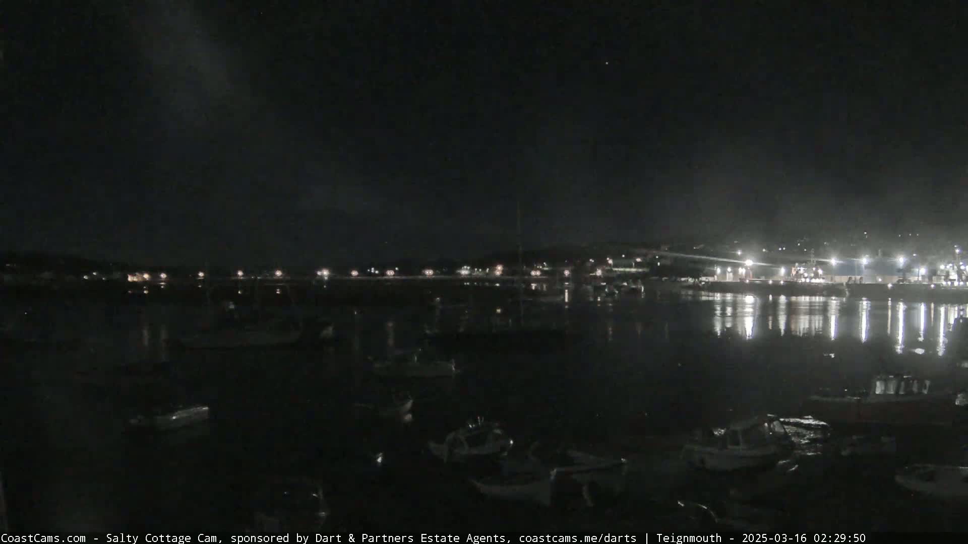 A dark nighttime harbor scene shows numerous boats moored in calm water, with lights illuminating the waterfront buildings and docks in the background.
