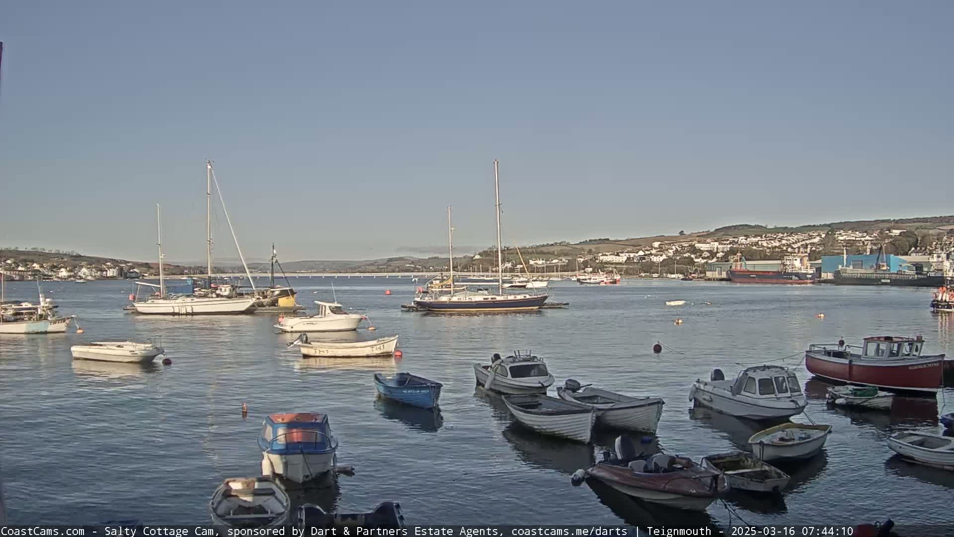 A calm harbor filled with numerous sailboats and motorboats under a clear, bright sky.