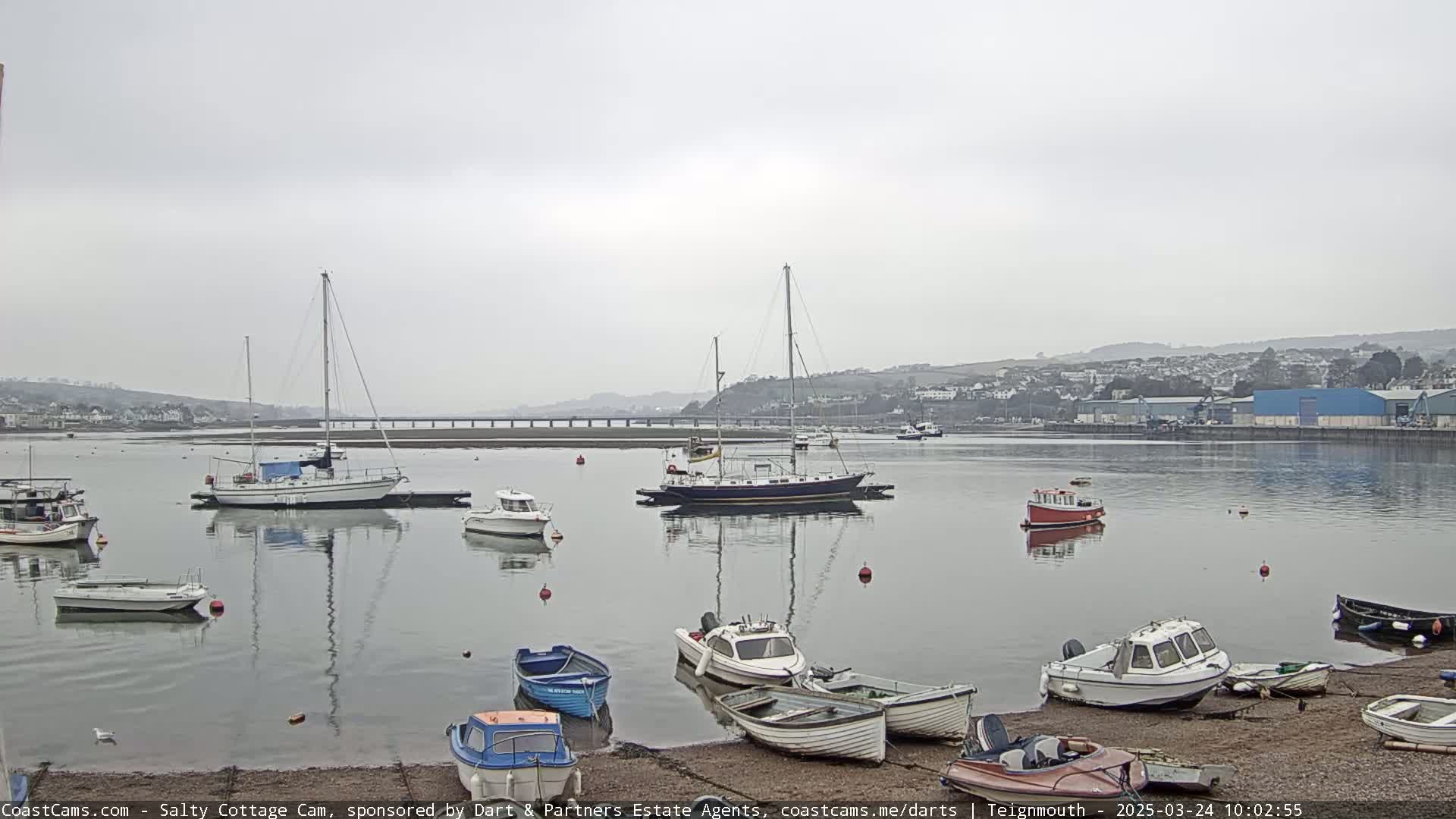 Numerous boats are moored in a calm harbor under an overcast sky, with a distant bridge and town visible.