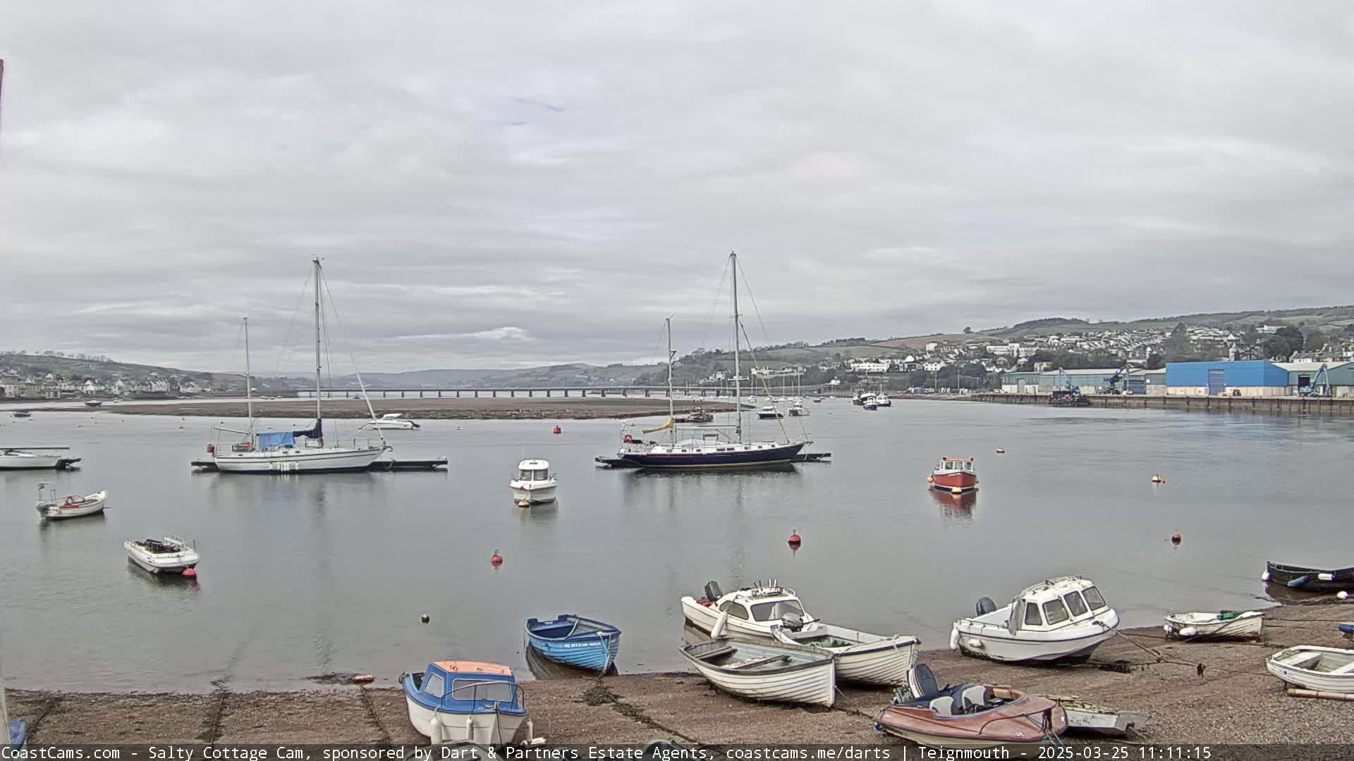 Numerous boats are moored in a calm harbor under an overcast sky, with a town and bridge visible in the distance.