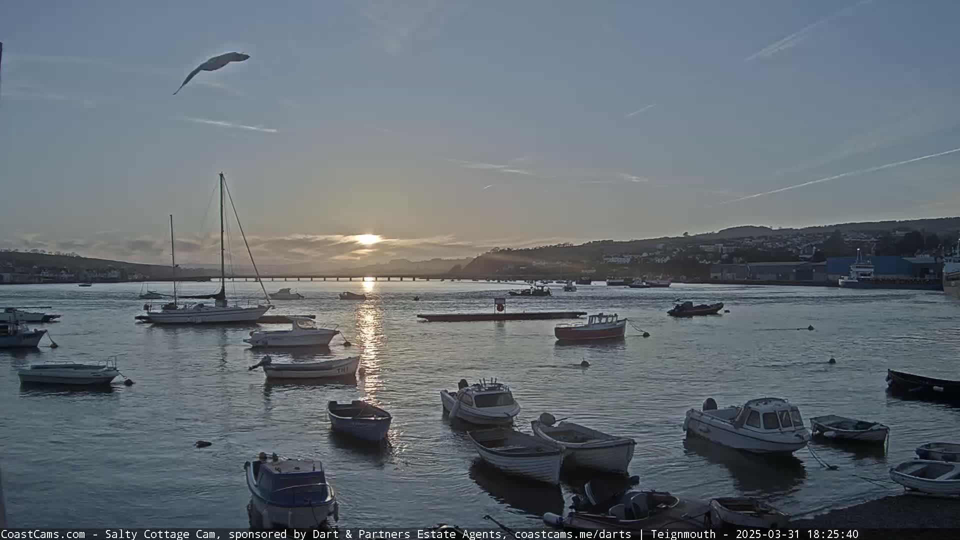 A calm harbor at sunset with numerous small boats and sailboats, a bird flying overhead, and a town visible in the distance.