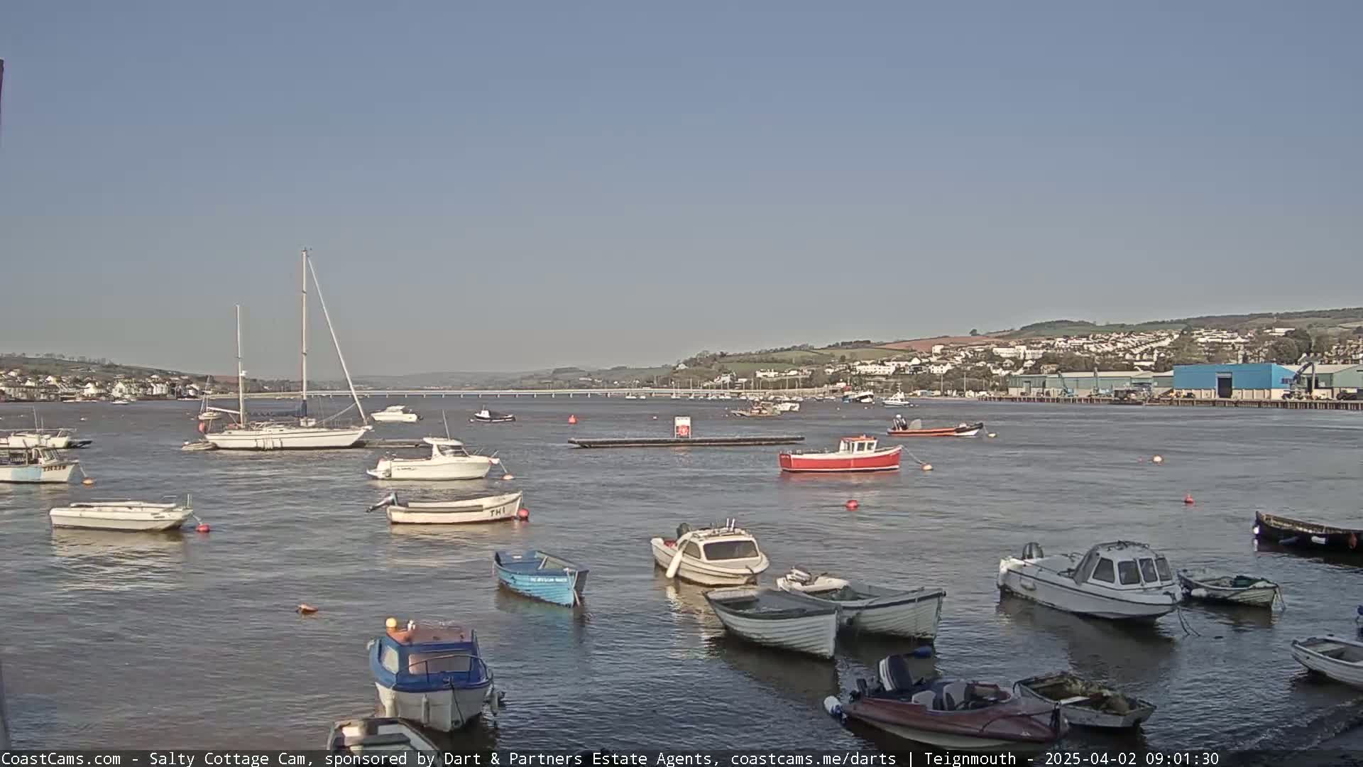 Many small boats are moored in calm water under a clear sky, with a town and bridge visible in the background.